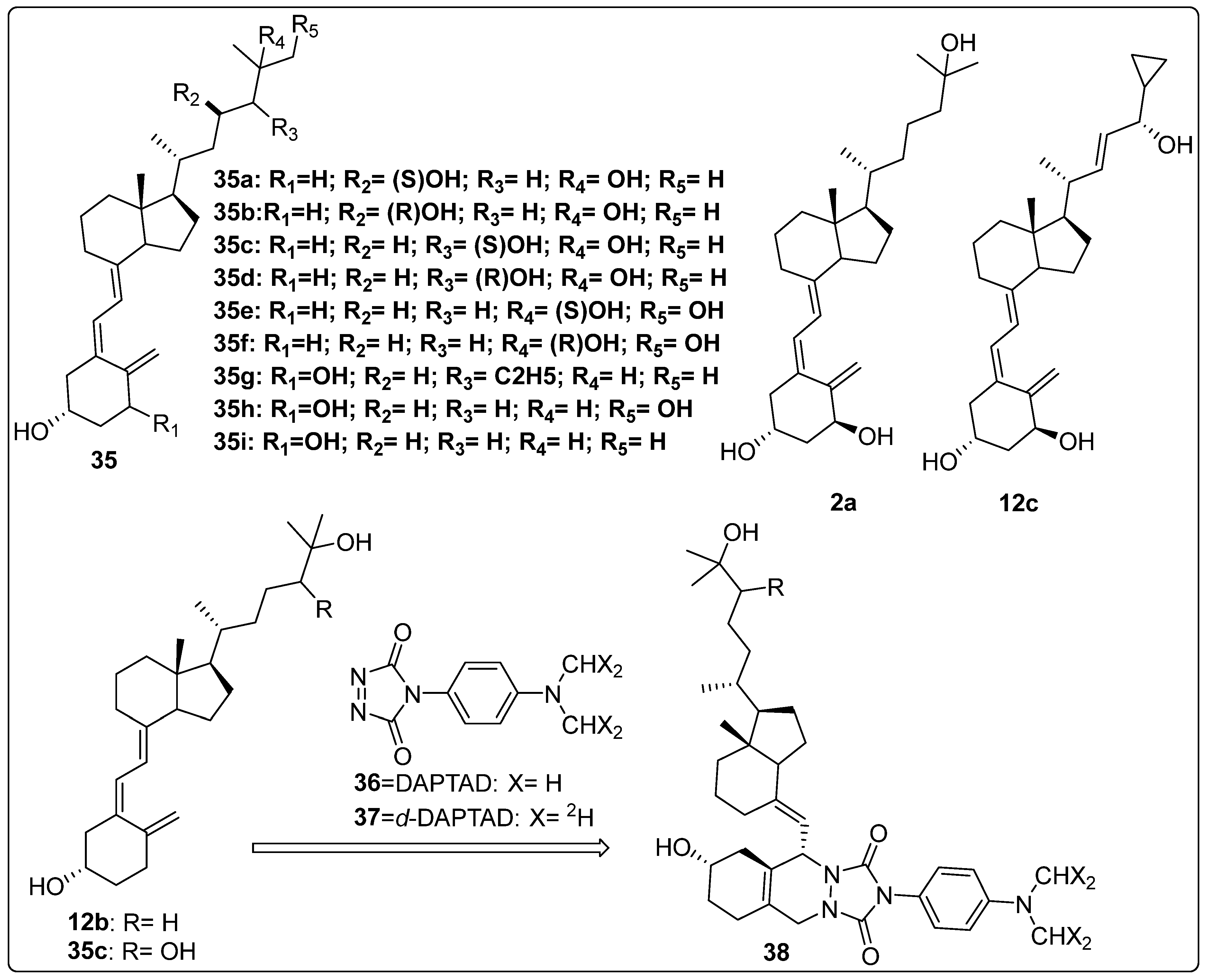 Biomedicines 13 01002 g009 Biomedicines 13 01002 g009