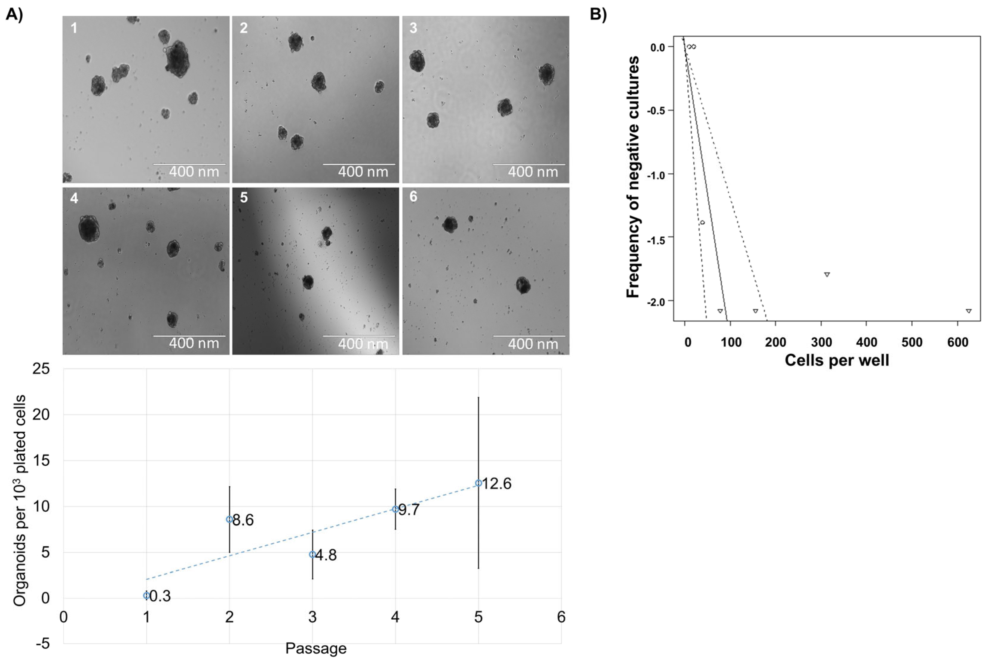 Biomedicines 13 01004 g002