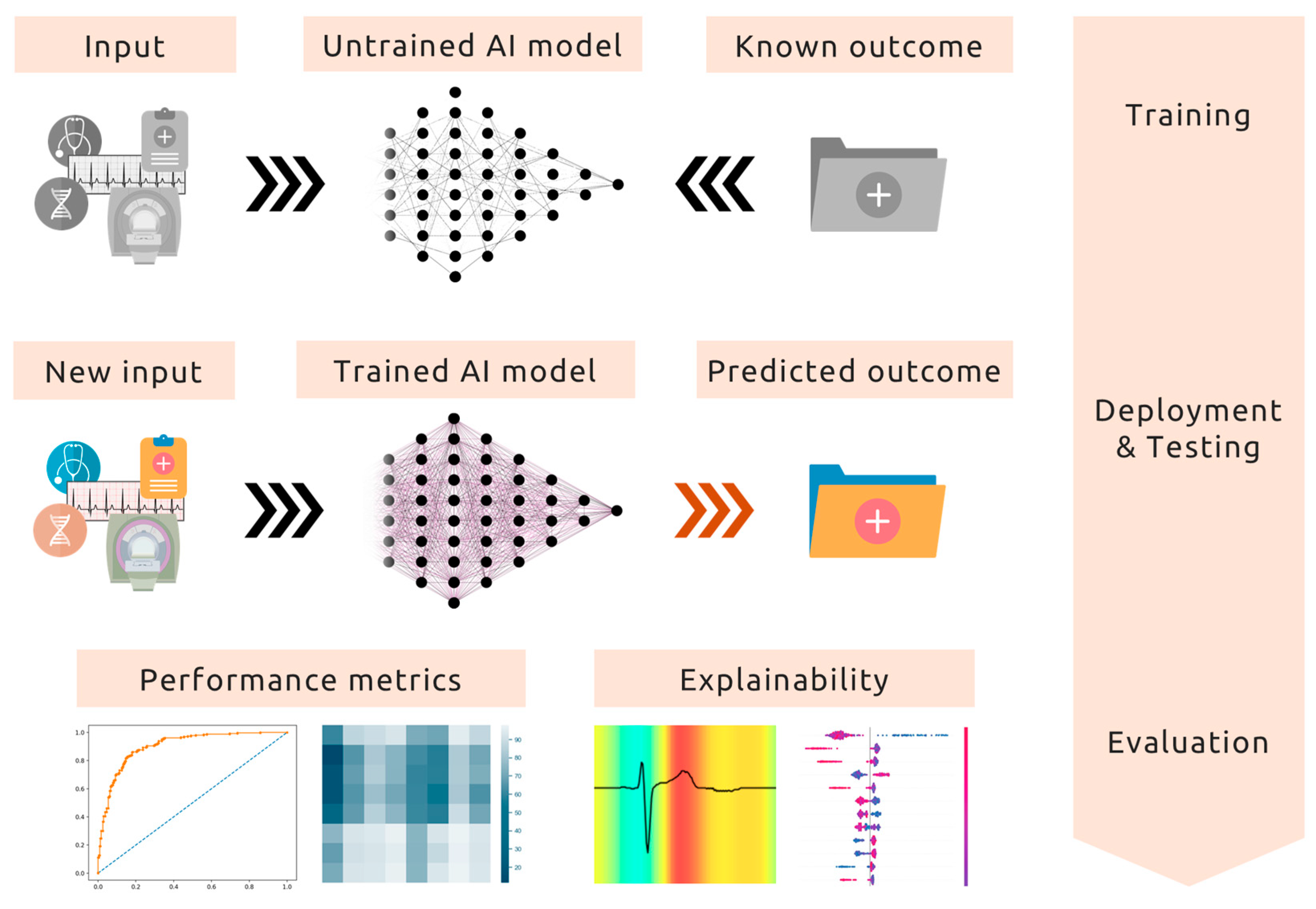 Biomedicines 13 01019 g001