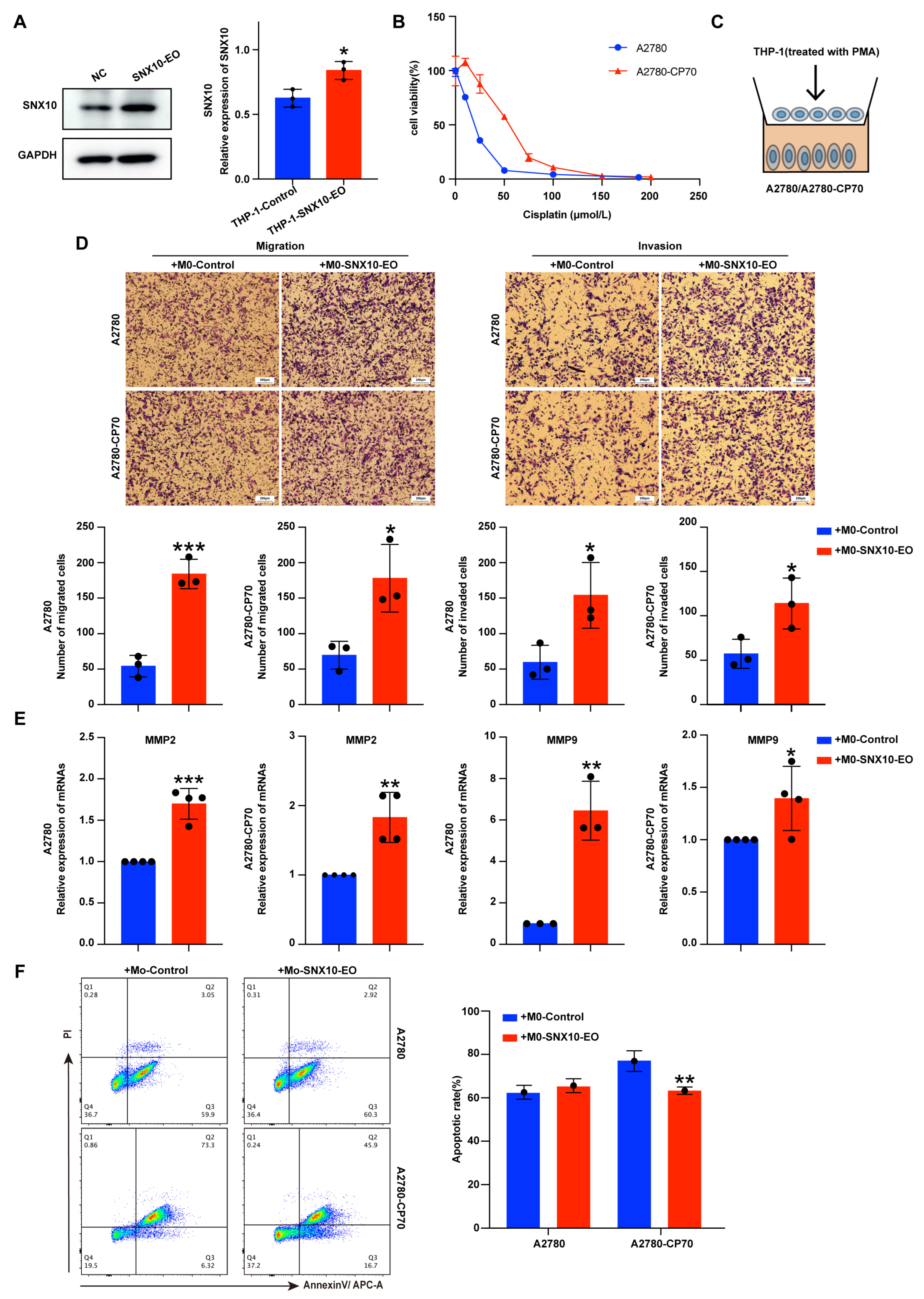 Biomedicines 13 01021 g002