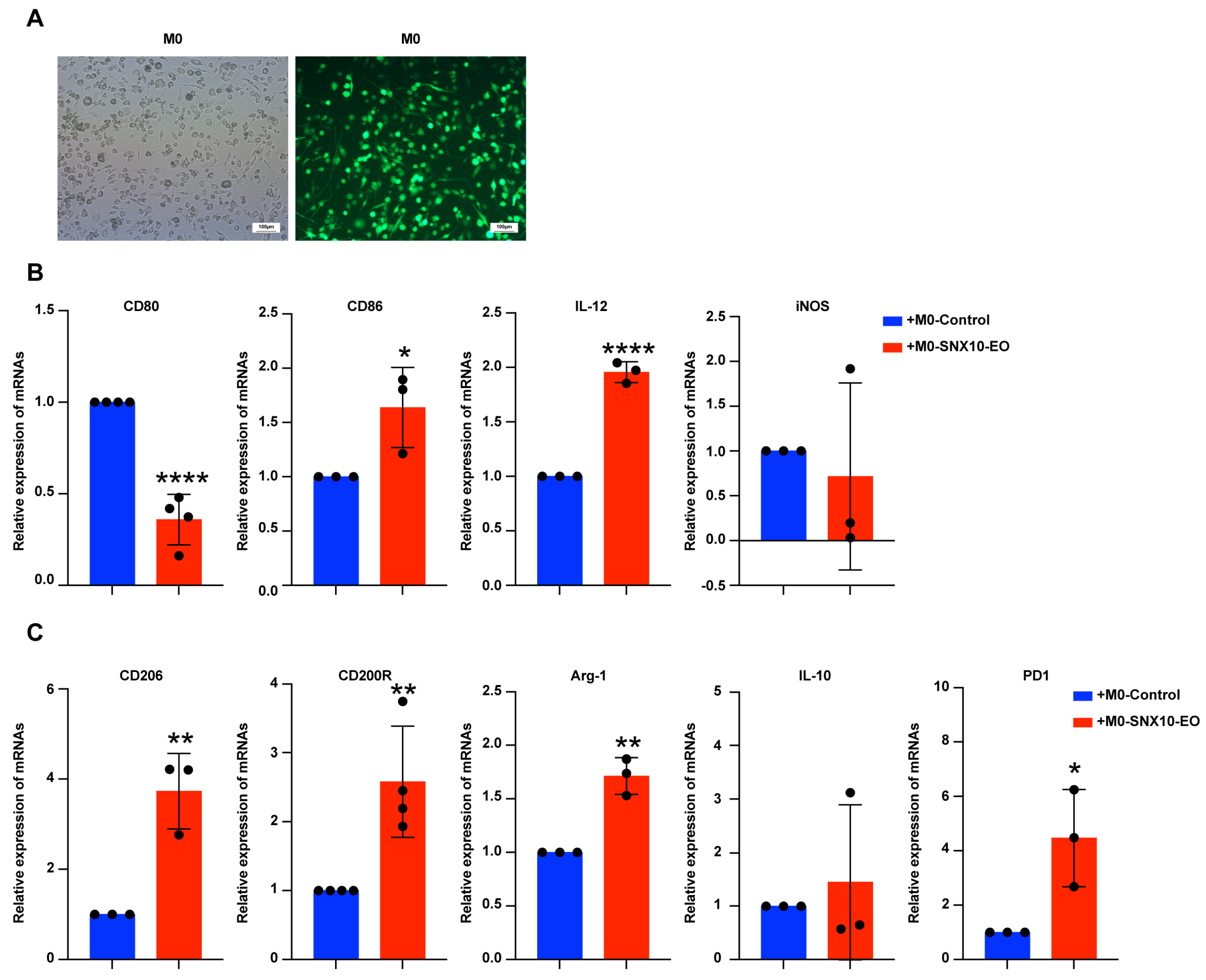 Biomedicines 13 01021 g003