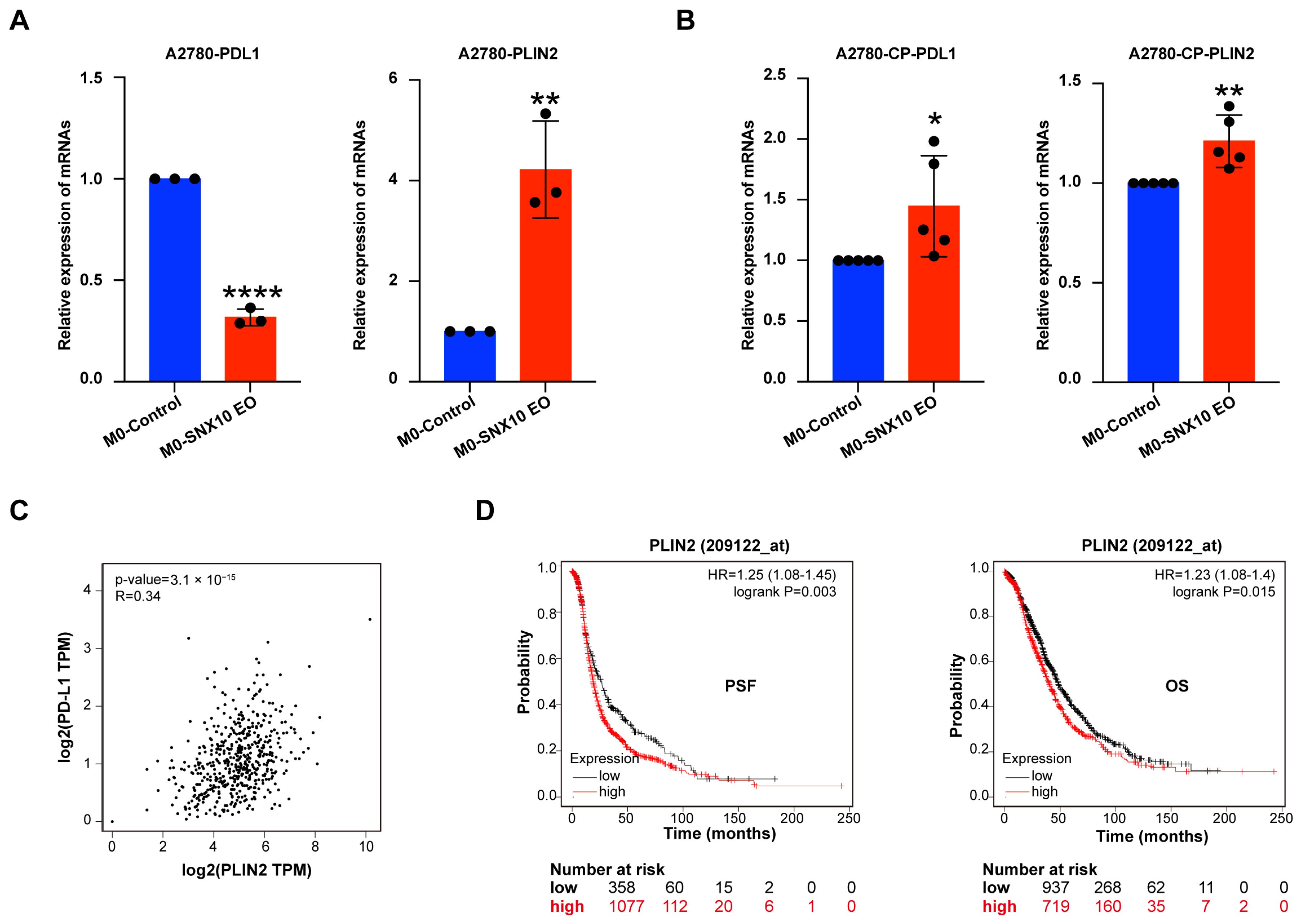 Biomedicines 13 01021 g006