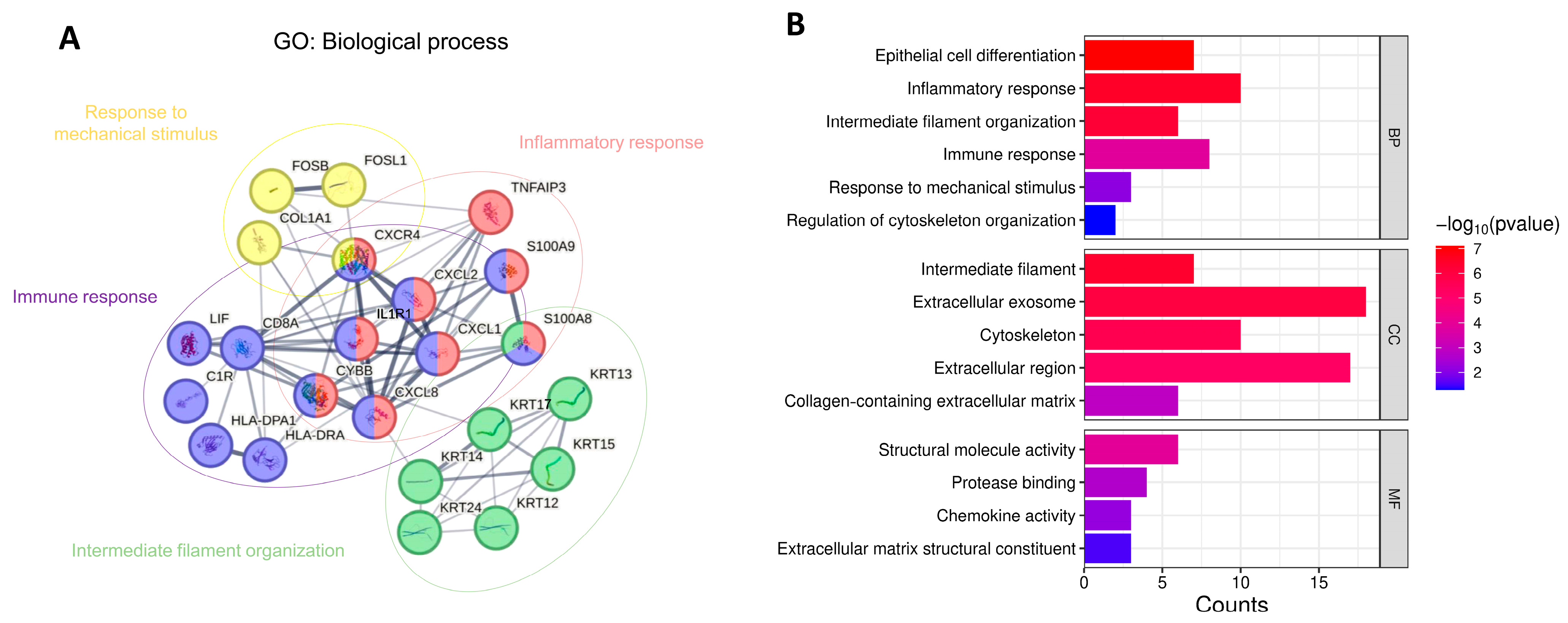 Biomedicines 13 01032 g008