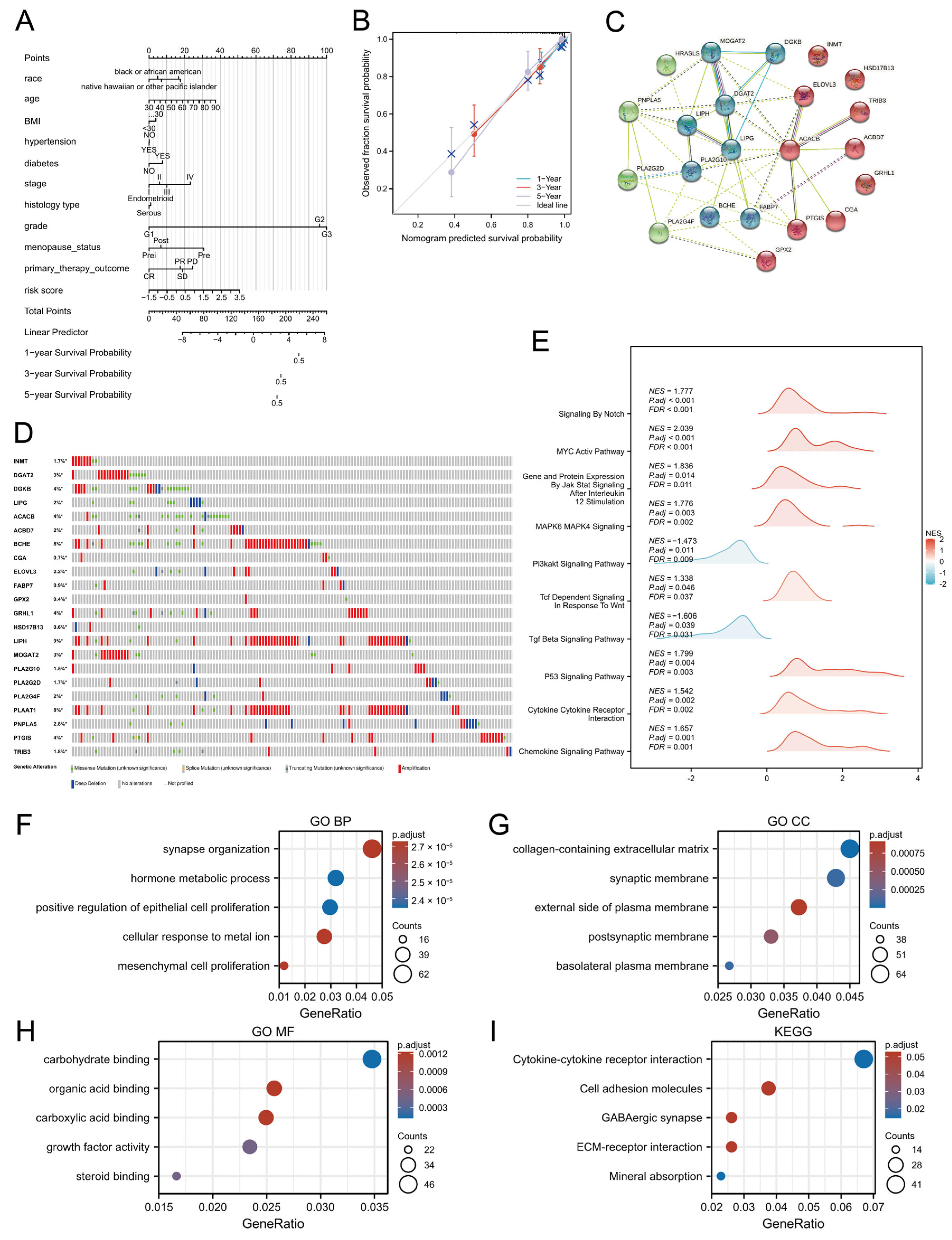 Biomedicines 13 01050 g003