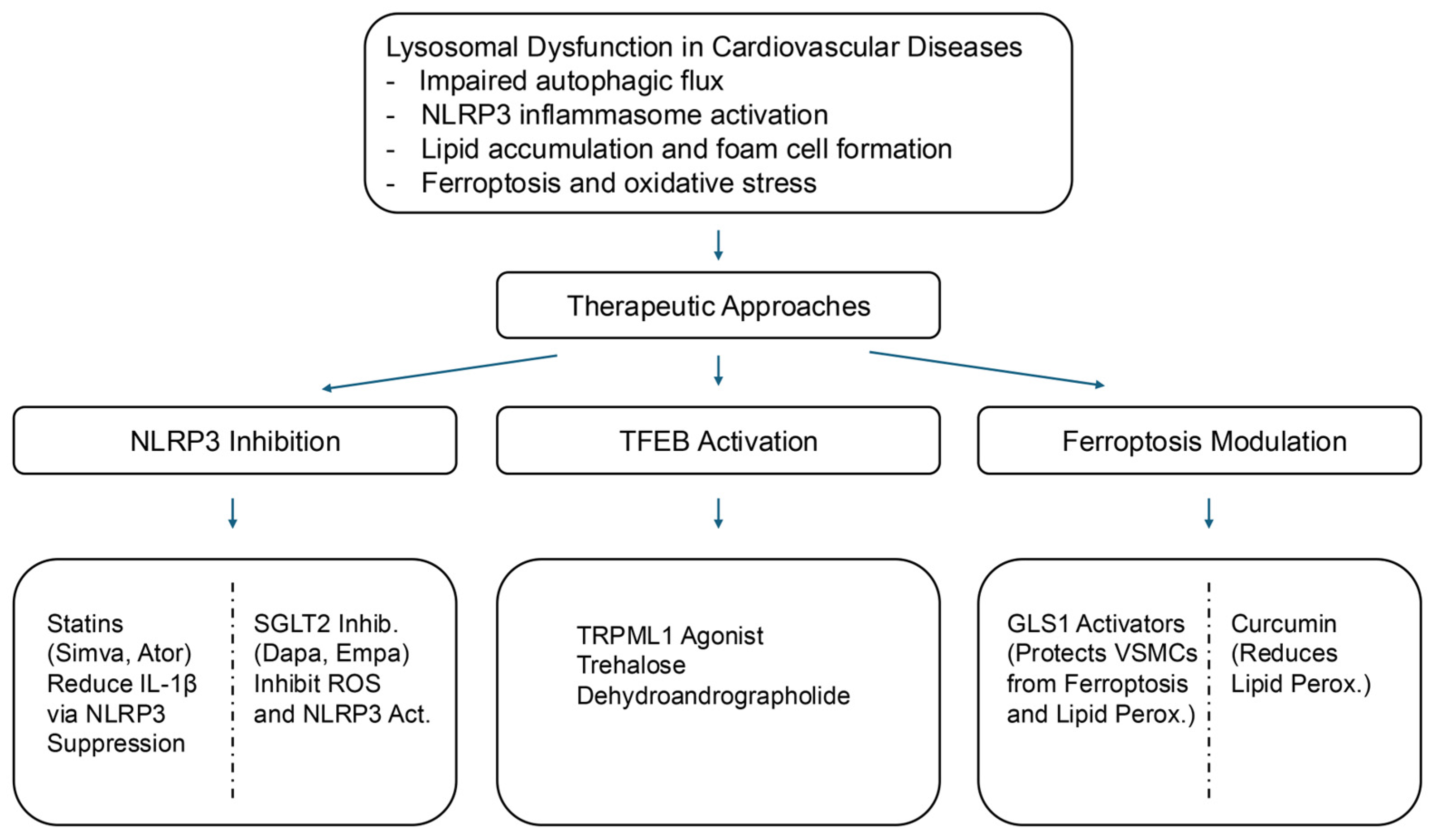 Biomedicines 13 01053 g002 Biomedicines 13 01053 g002