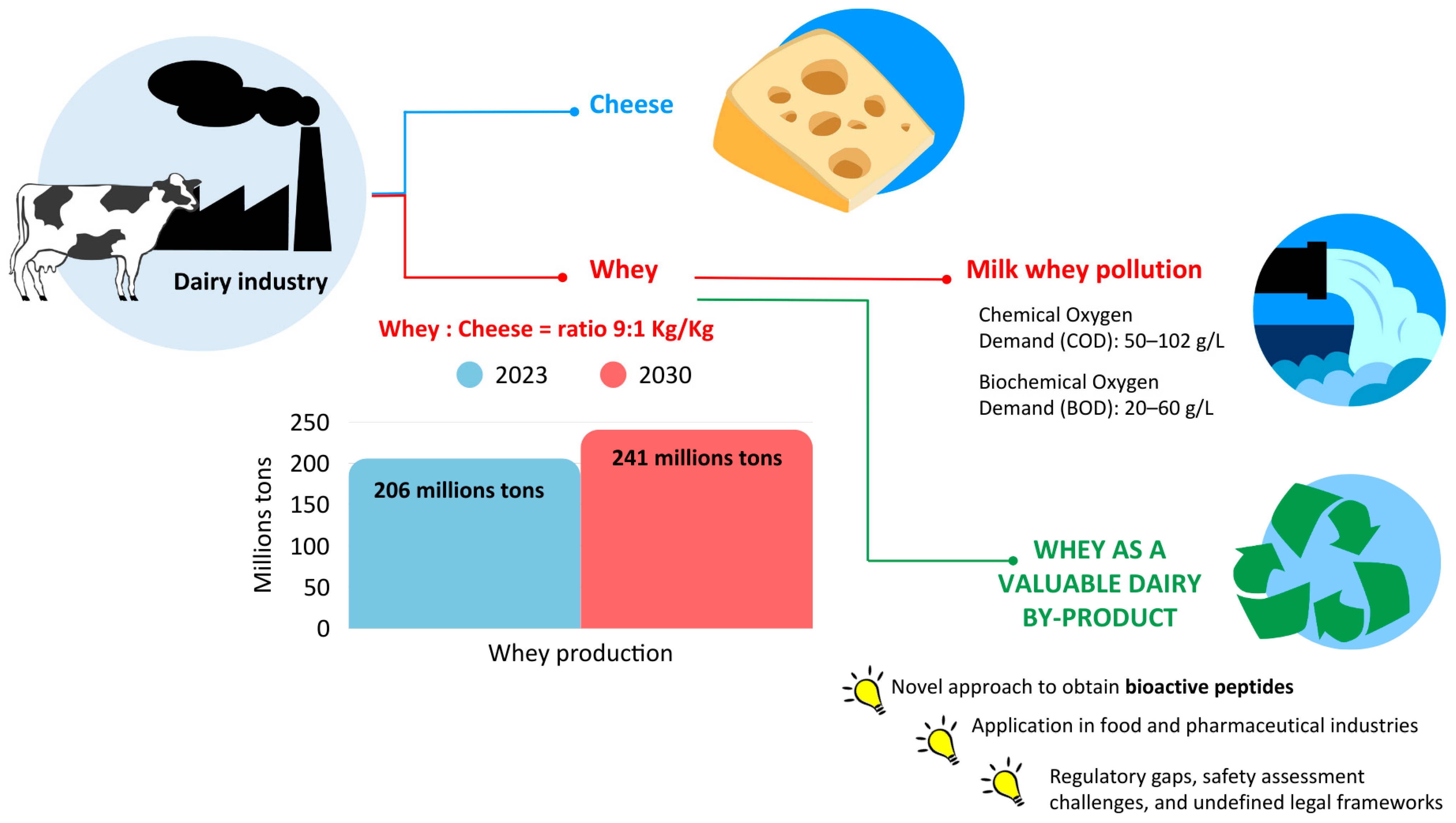 Biomedicines 13 01311 g001