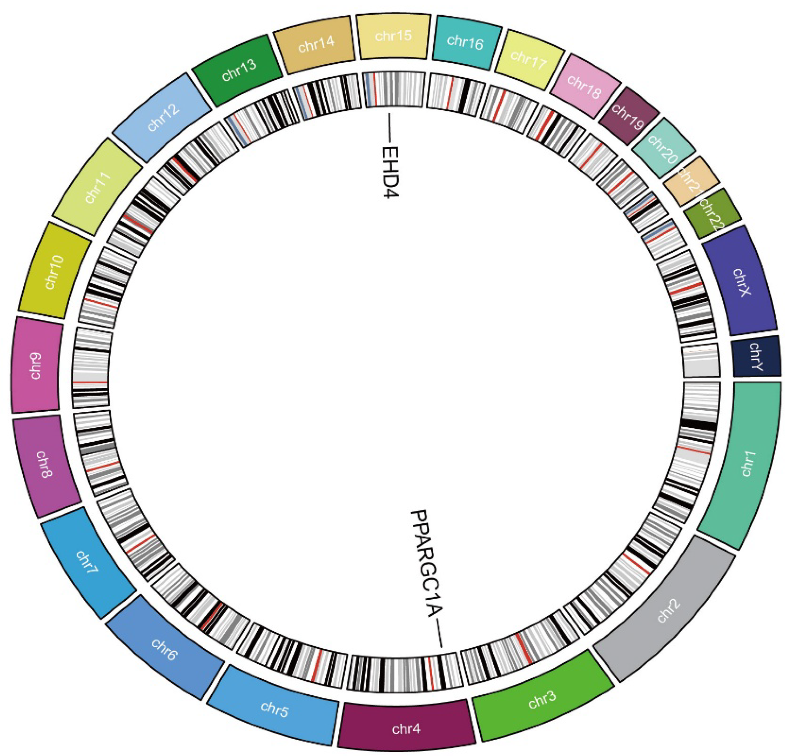 Biomedicines 13 01313 g005
