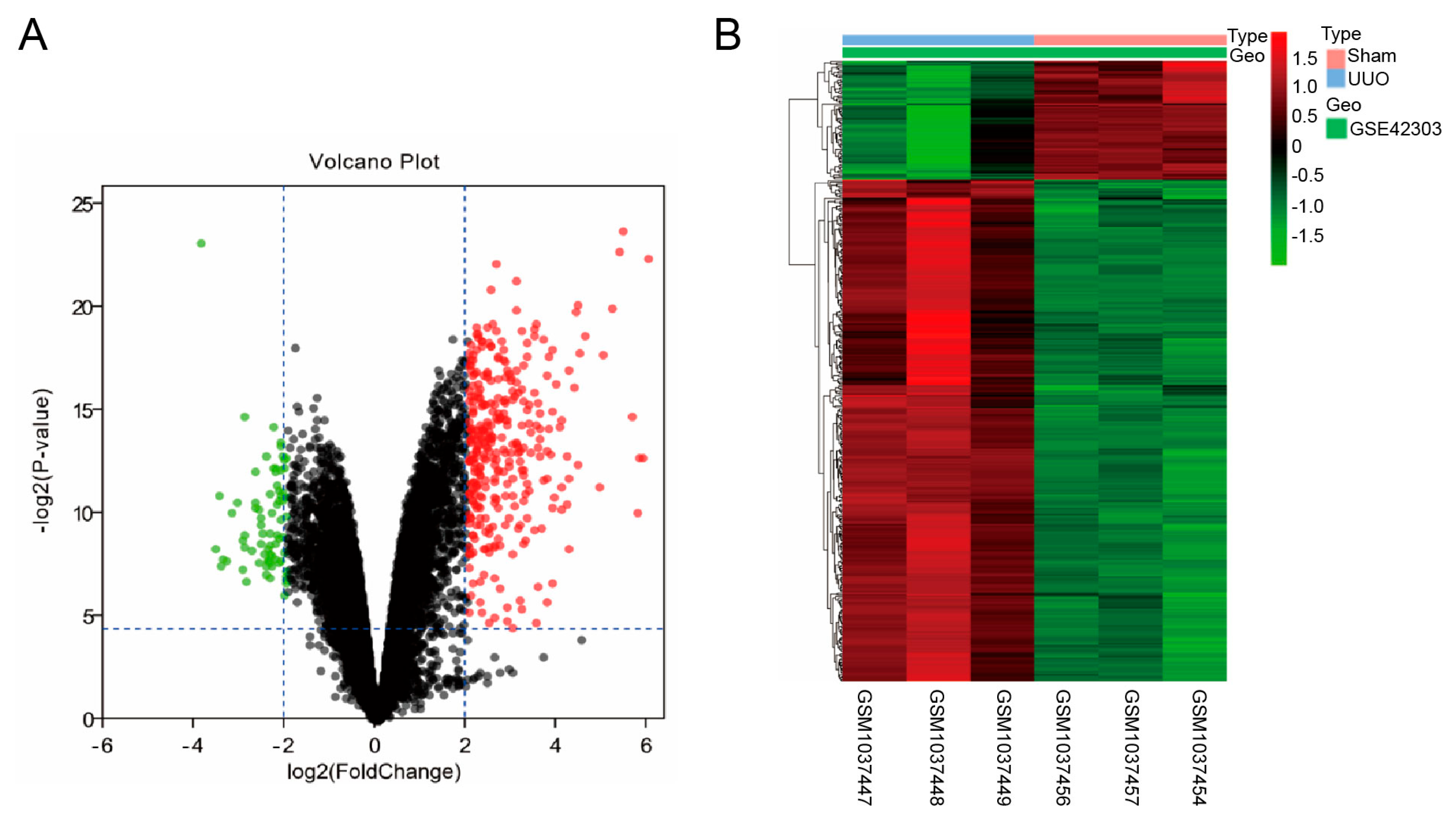 Biomedicines 13 01316 g001