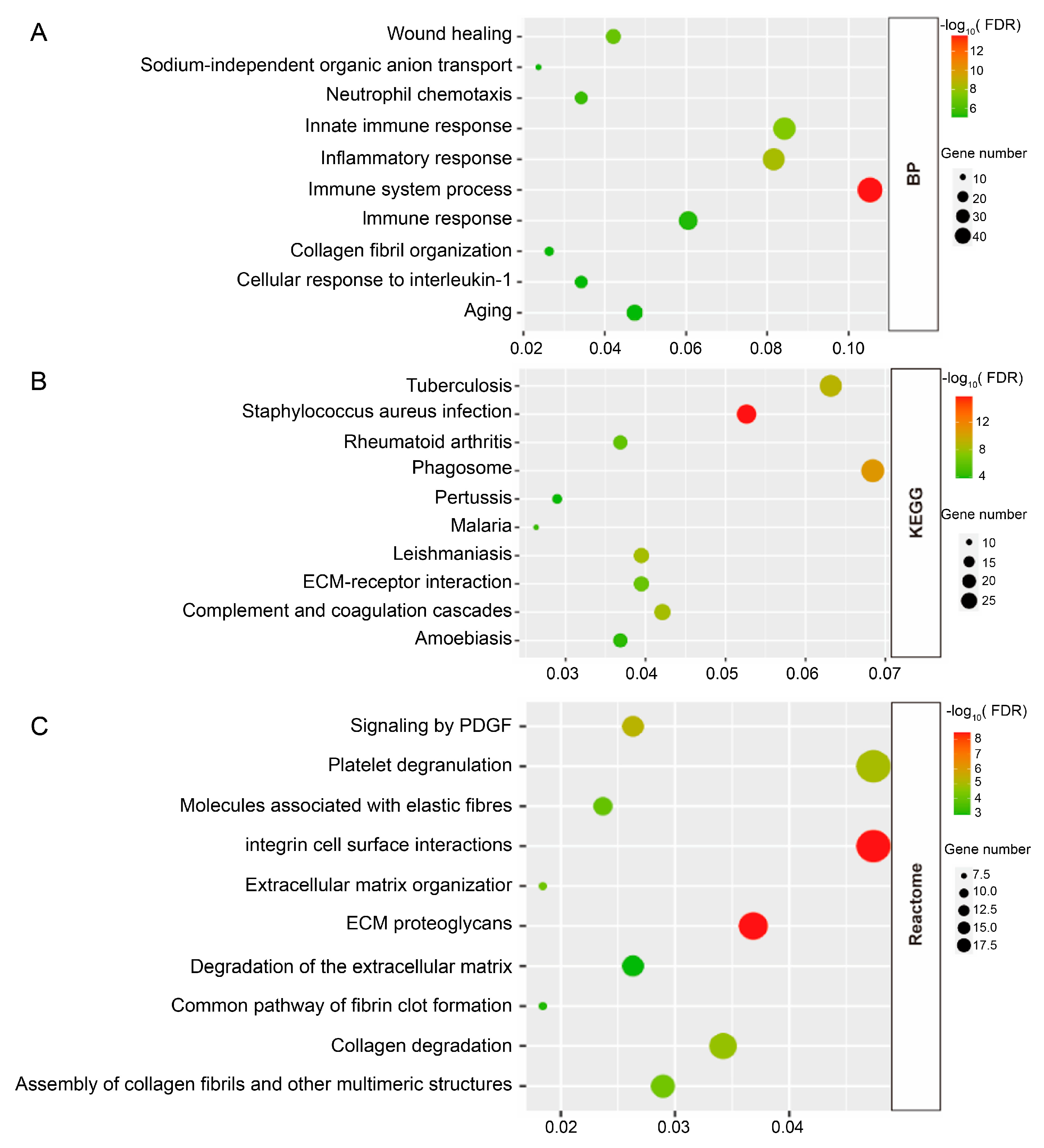 Biomedicines 13 01316 g002