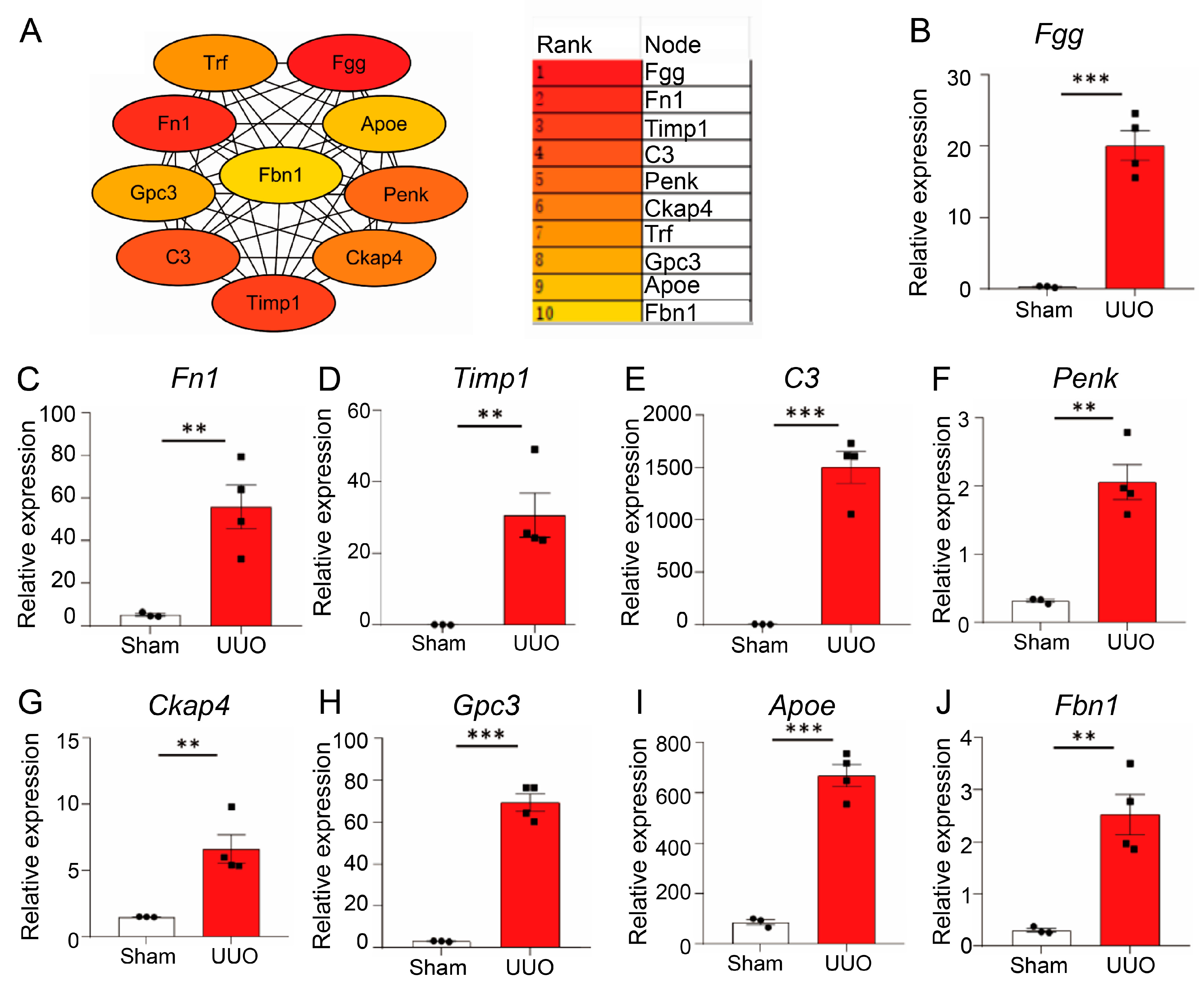 Biomedicines 13 01316 g004