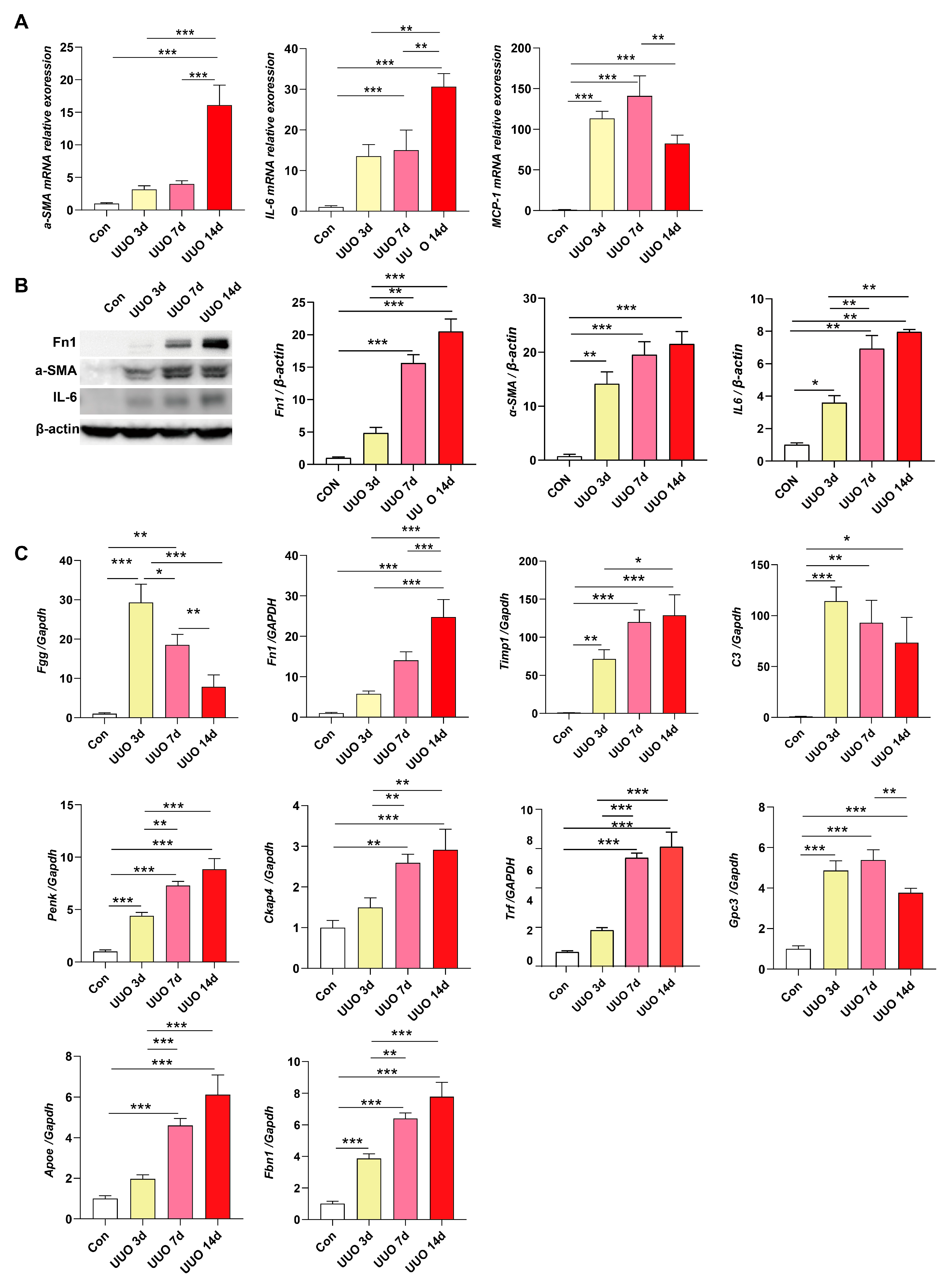 Biomedicines 13 01316 g006
