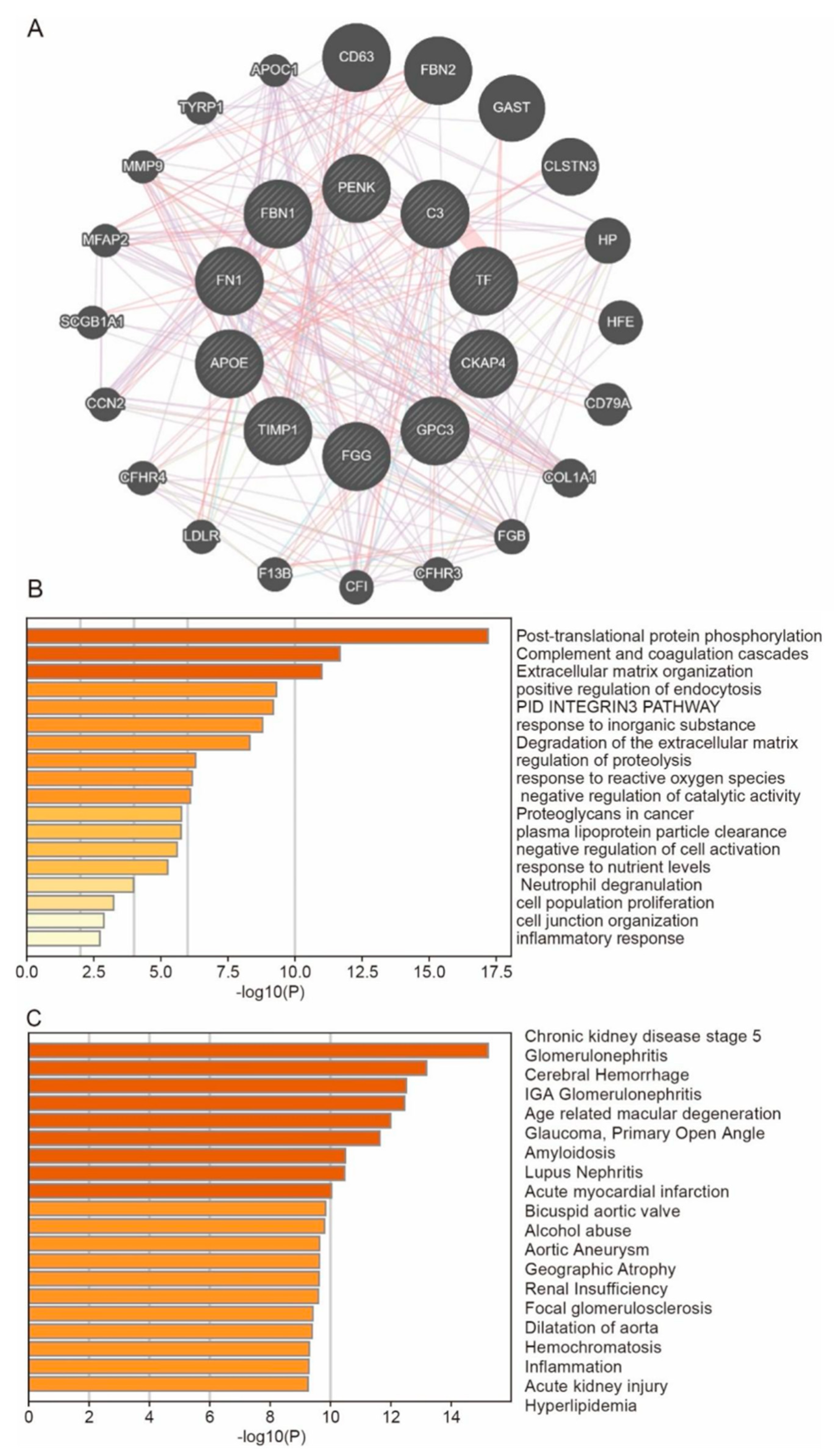 Biomedicines 13 01316 g007