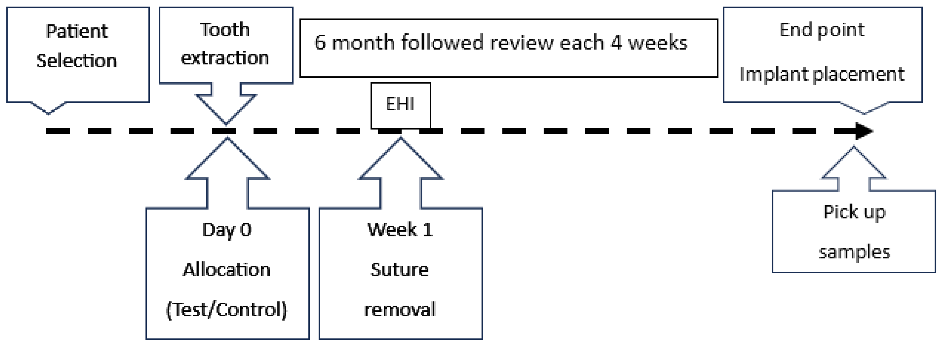 Biomedicines 13 01358 g001