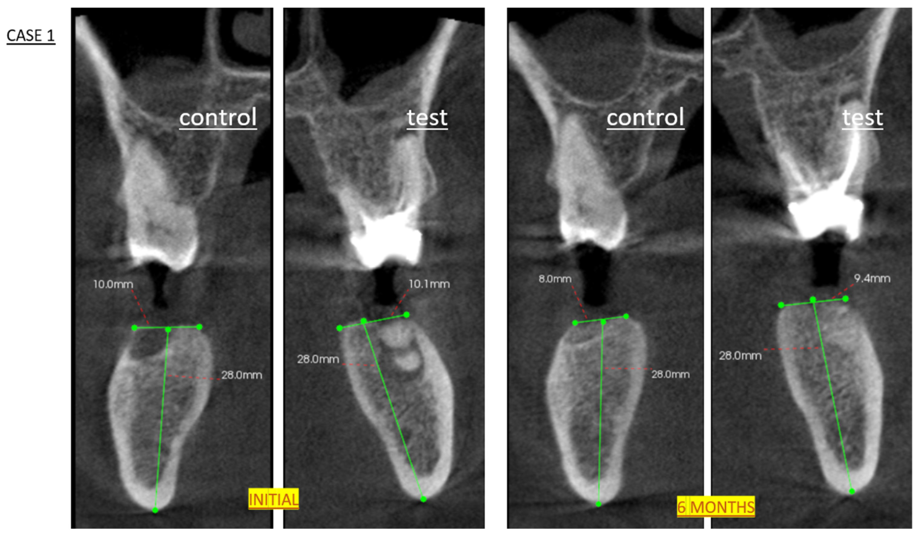 Biomedicines 13 01358 g002