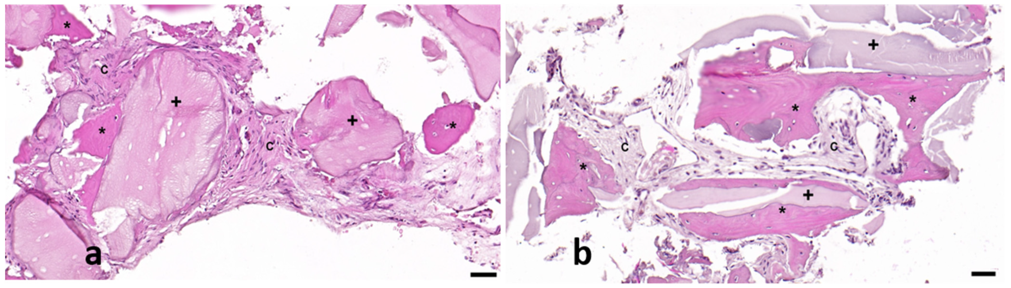 Biomedicines 13 01358 g007