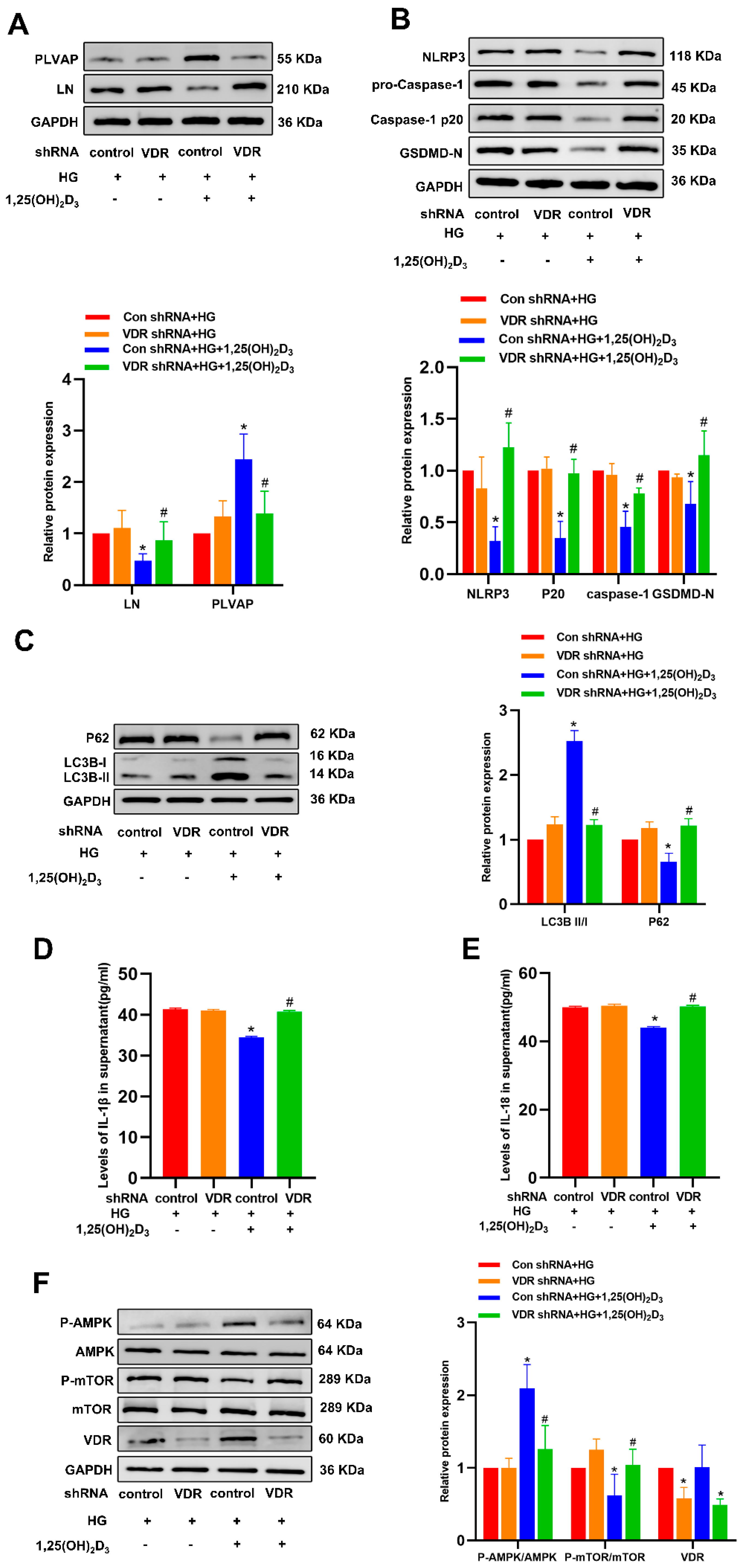 Biomedicines 13 01459 g005