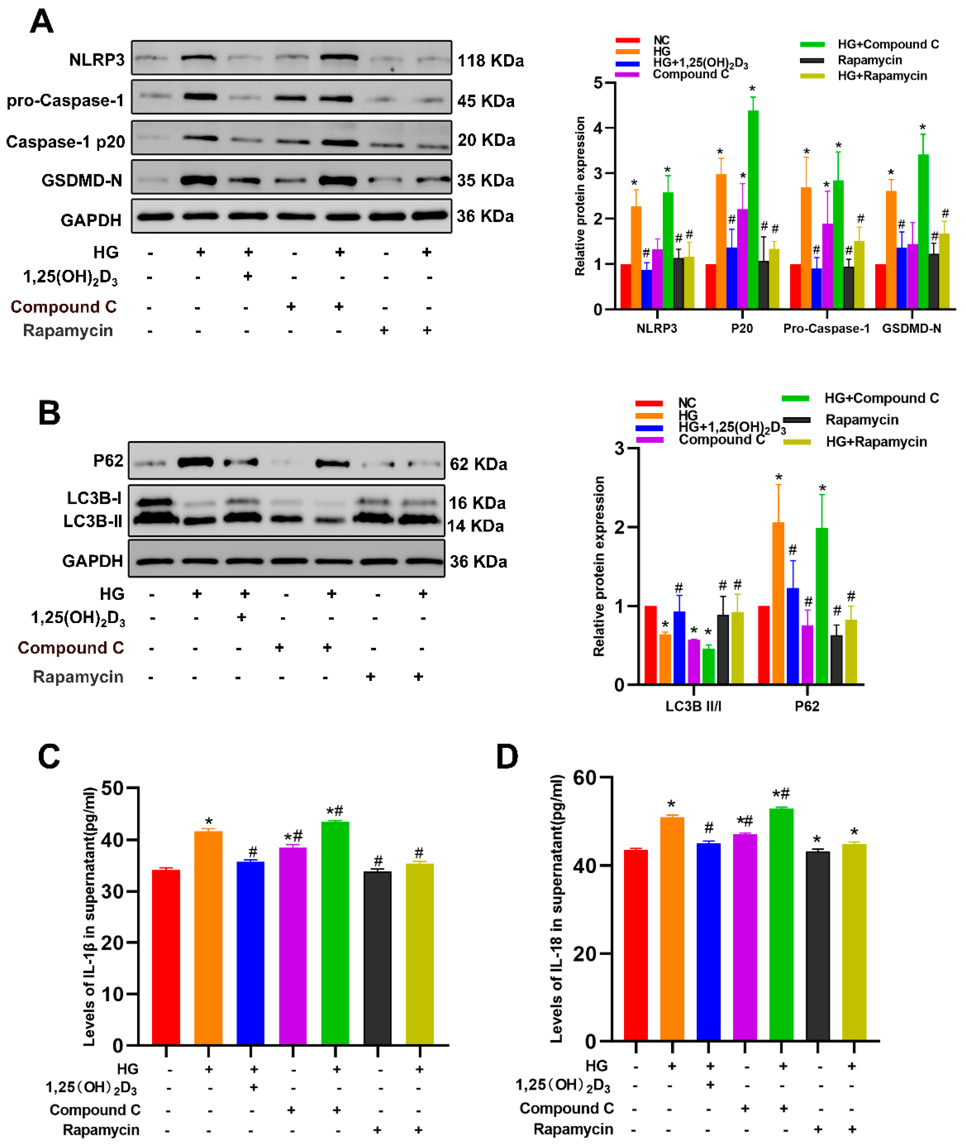 Biomedicines 13 01459 g007
