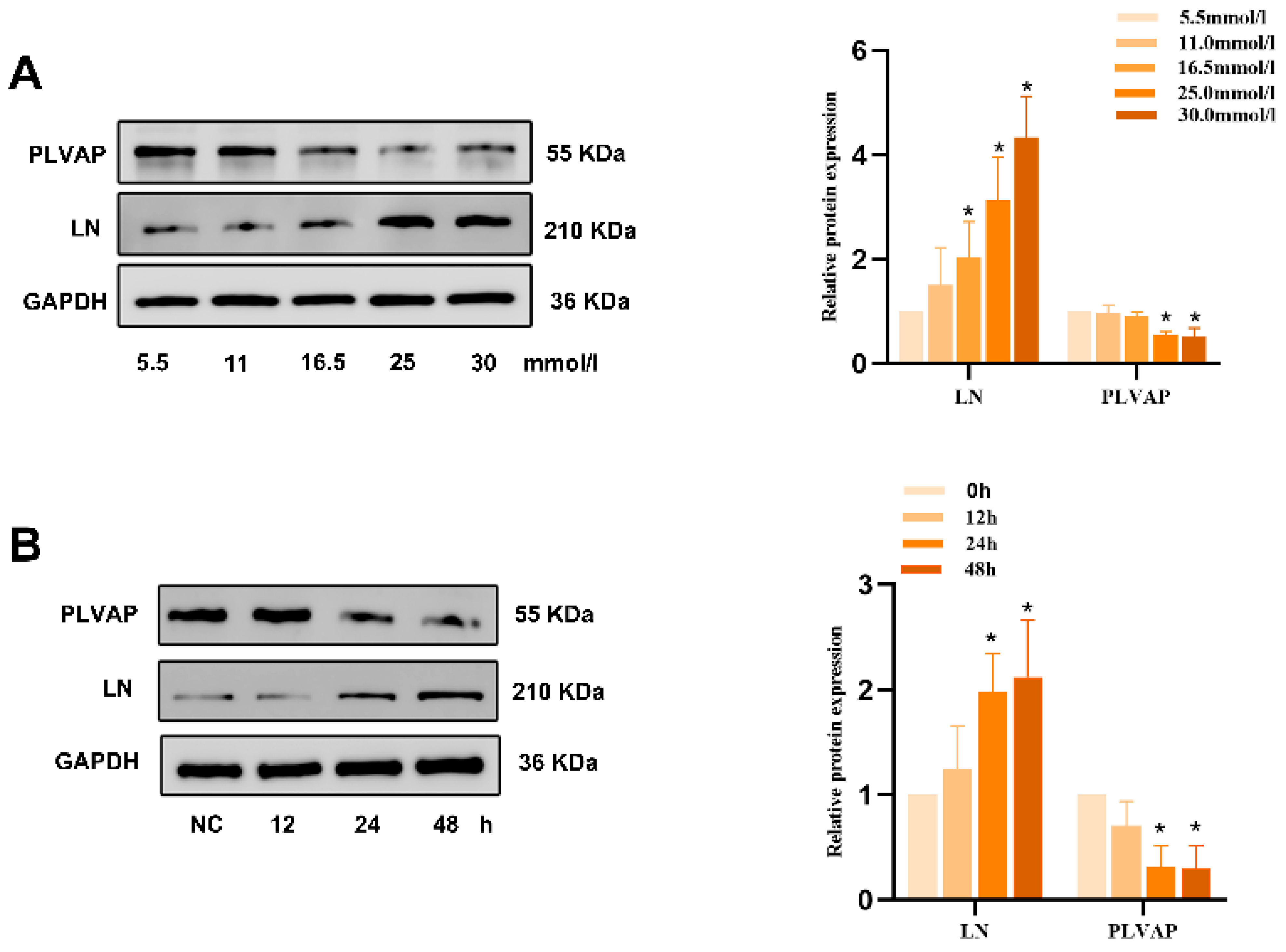 Biomedicines 13 01459 g0a1