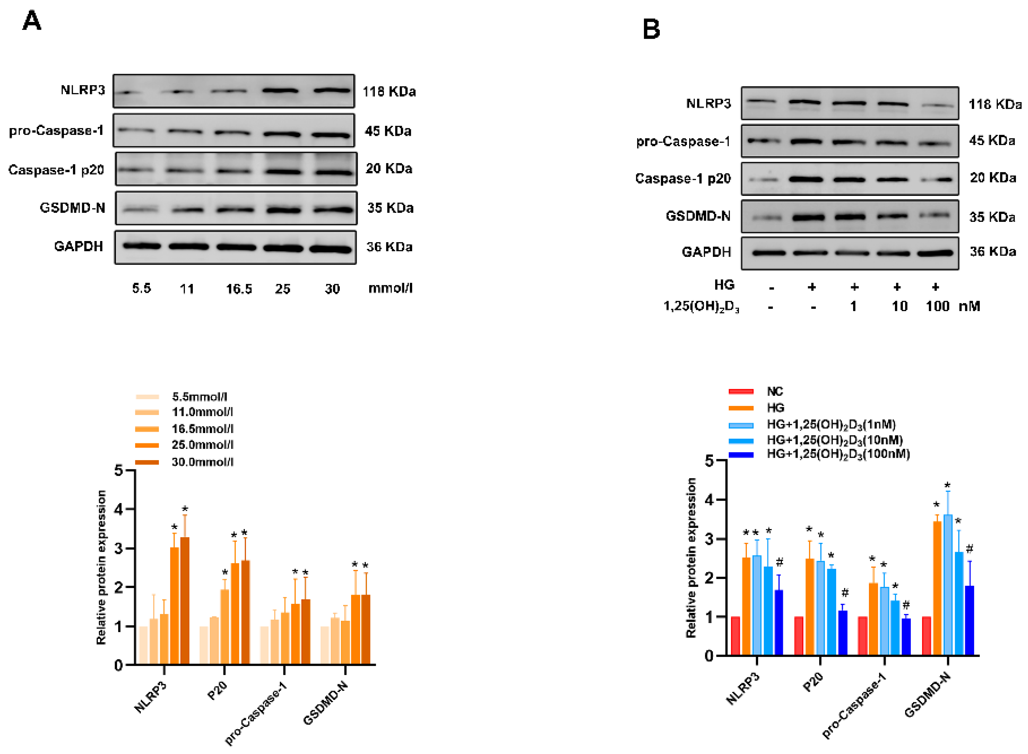Biomedicines 13 01459 g0a2
