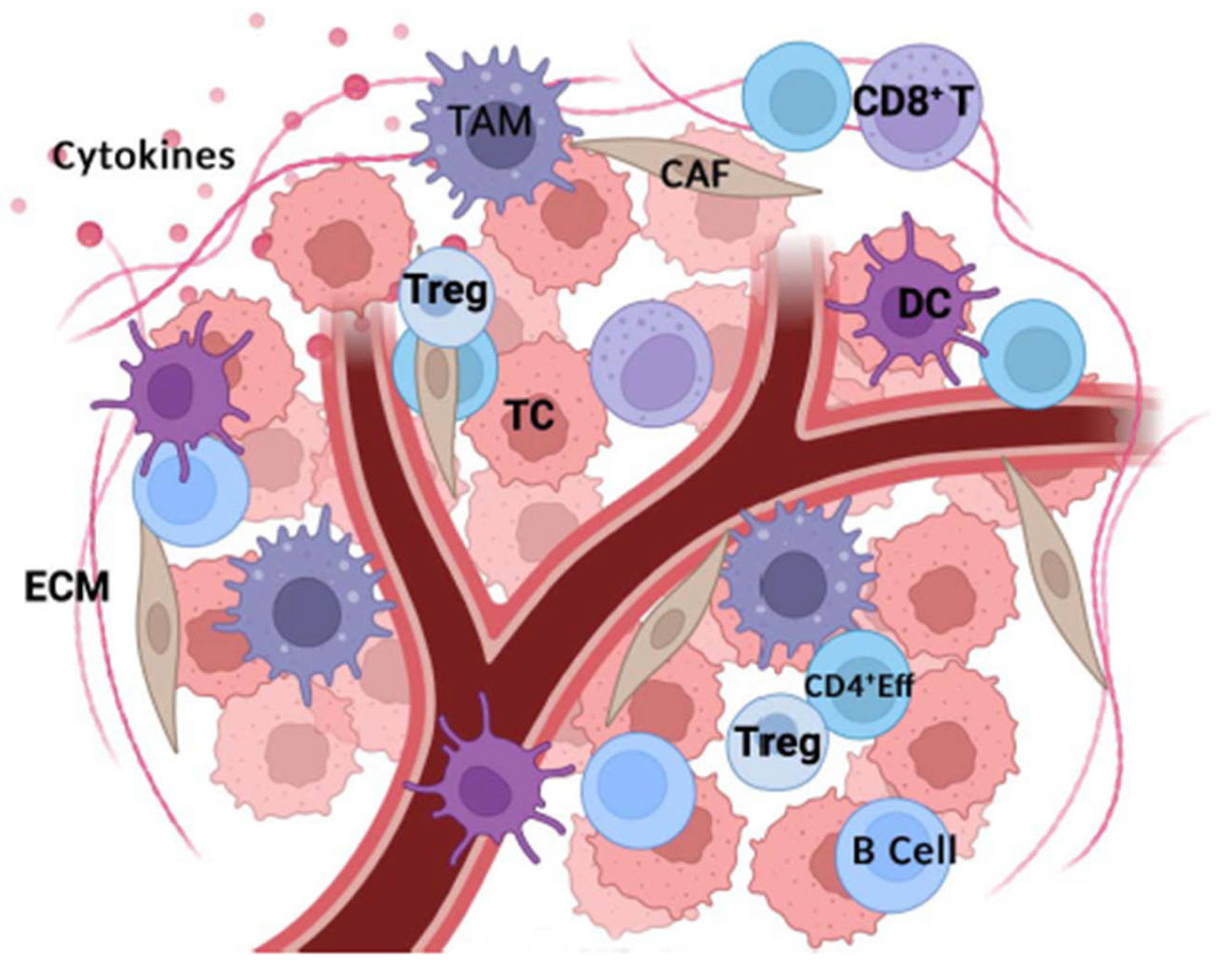 Biomedicines 13 01461 g001 Biomedicines 13 01461 g001