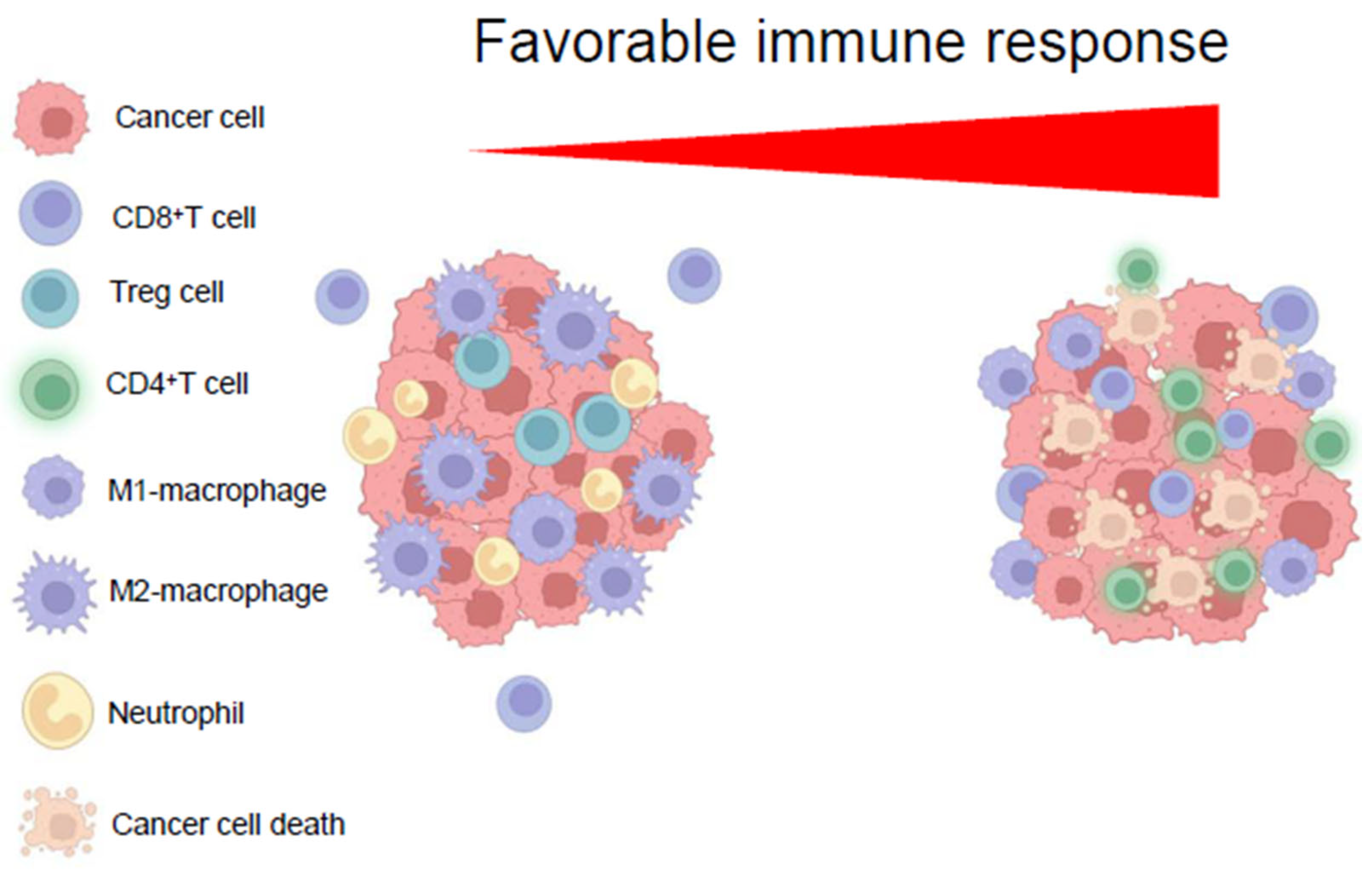 Biomedicines 13 01461 g003 Biomedicines 13 01461 g003