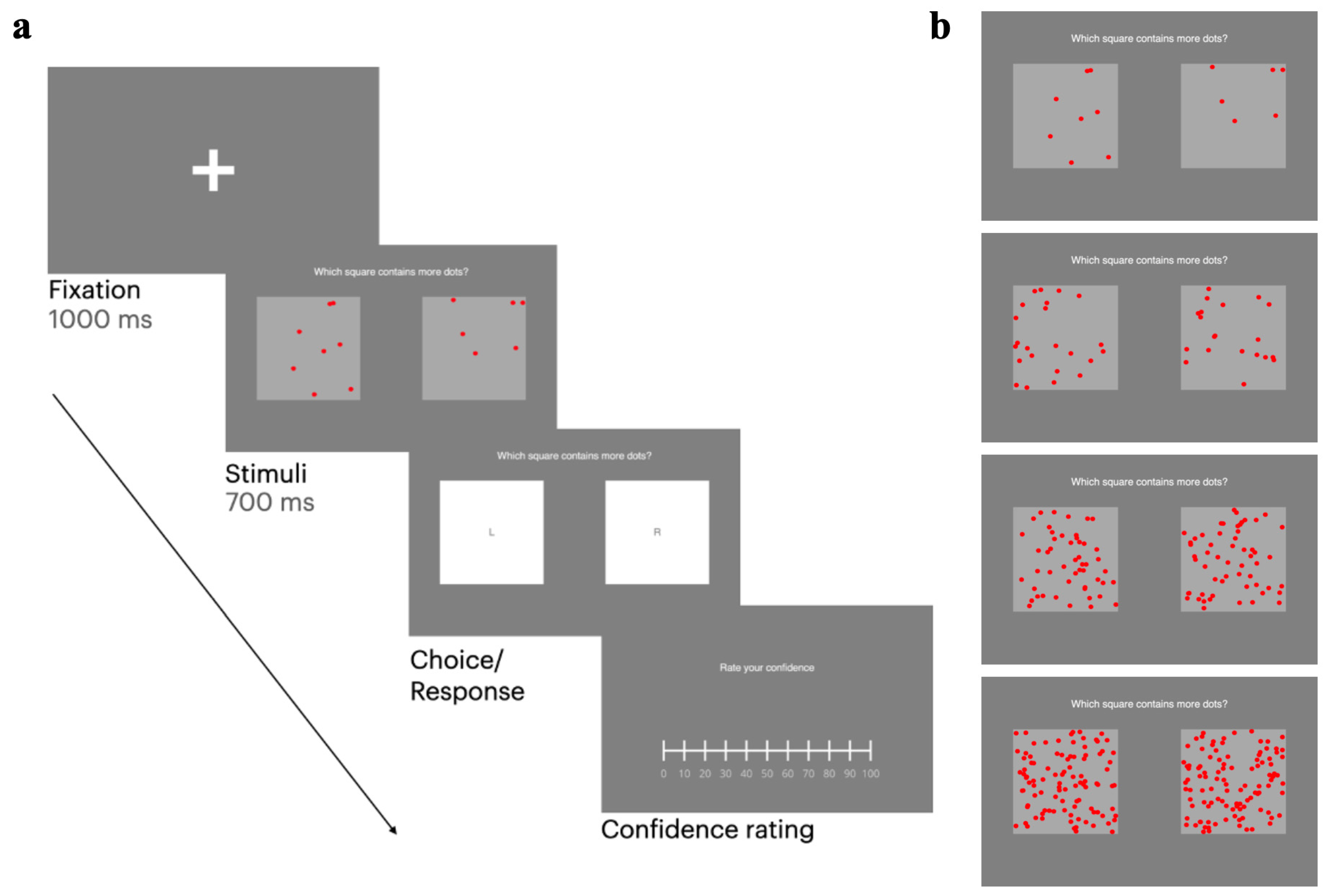 Biomedicines 13 01522 g002