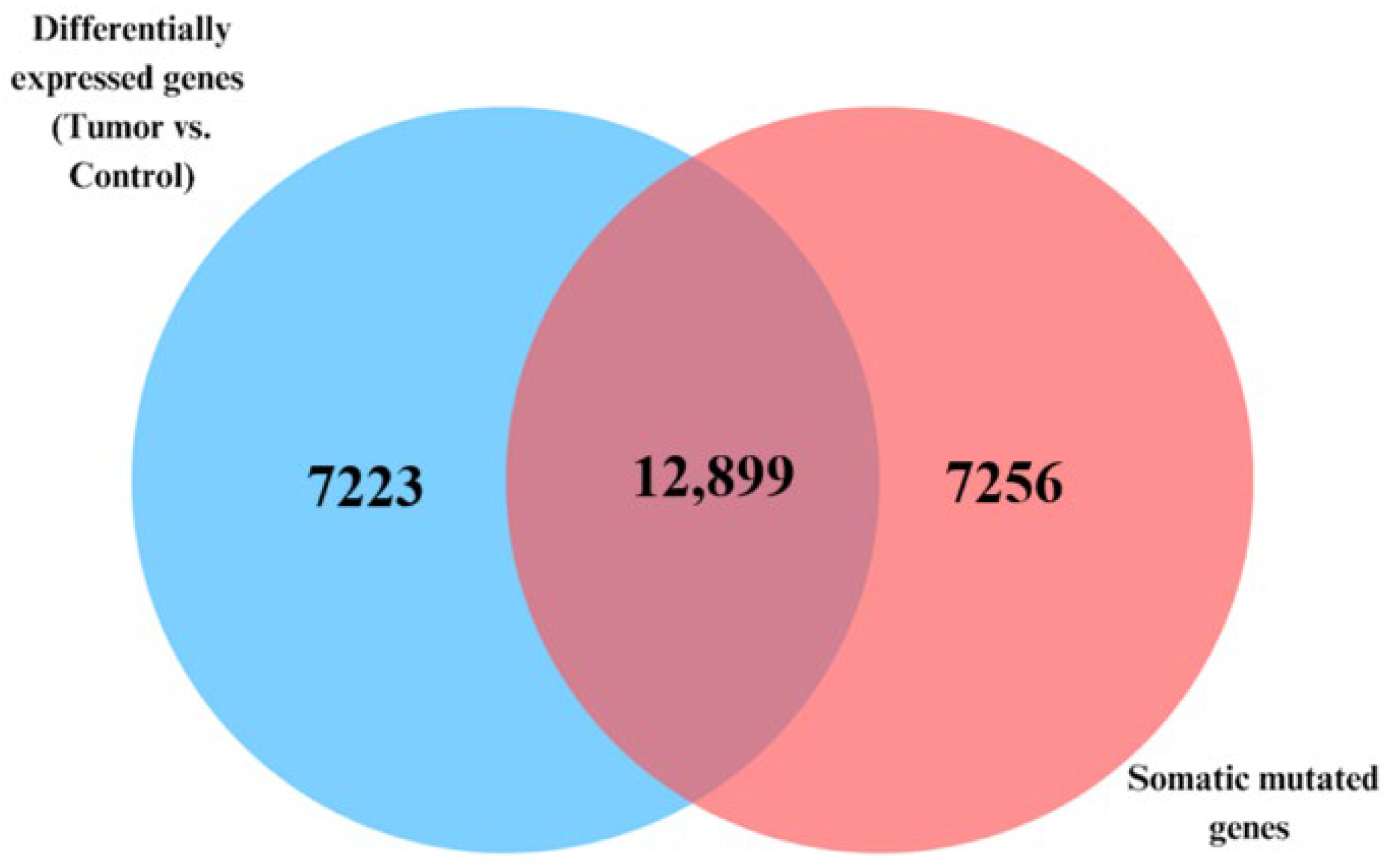 Biomedicines 13 01651 g002 Biomedicines 13 01651 g002