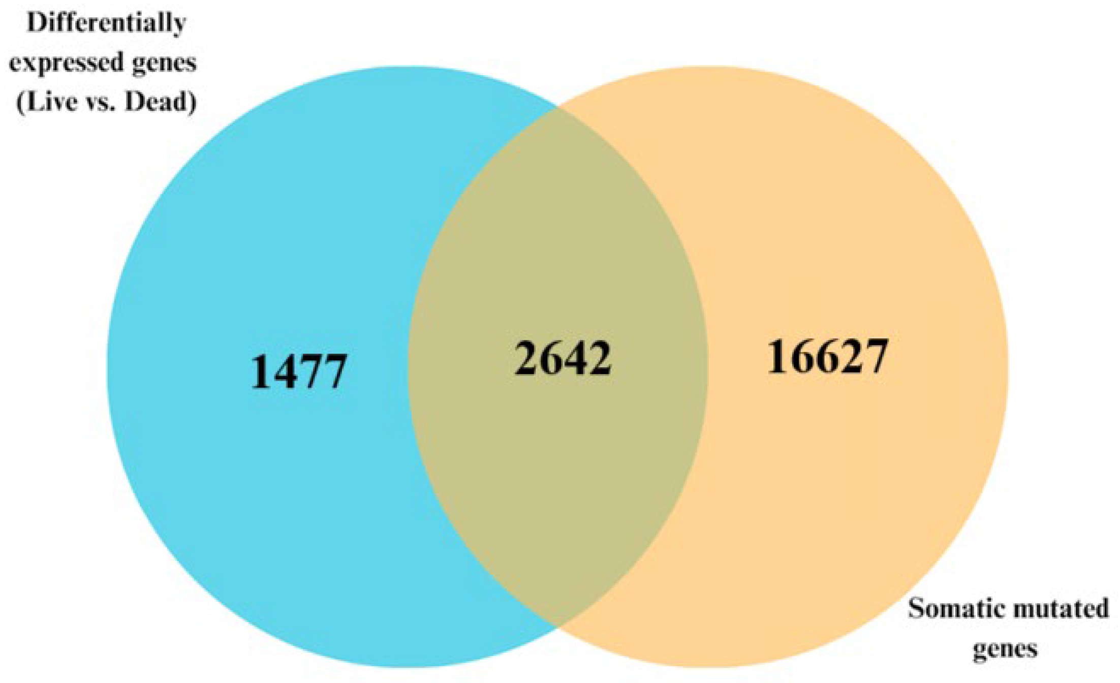 Biomedicines 13 01651 g006 Biomedicines 13 01651 g006