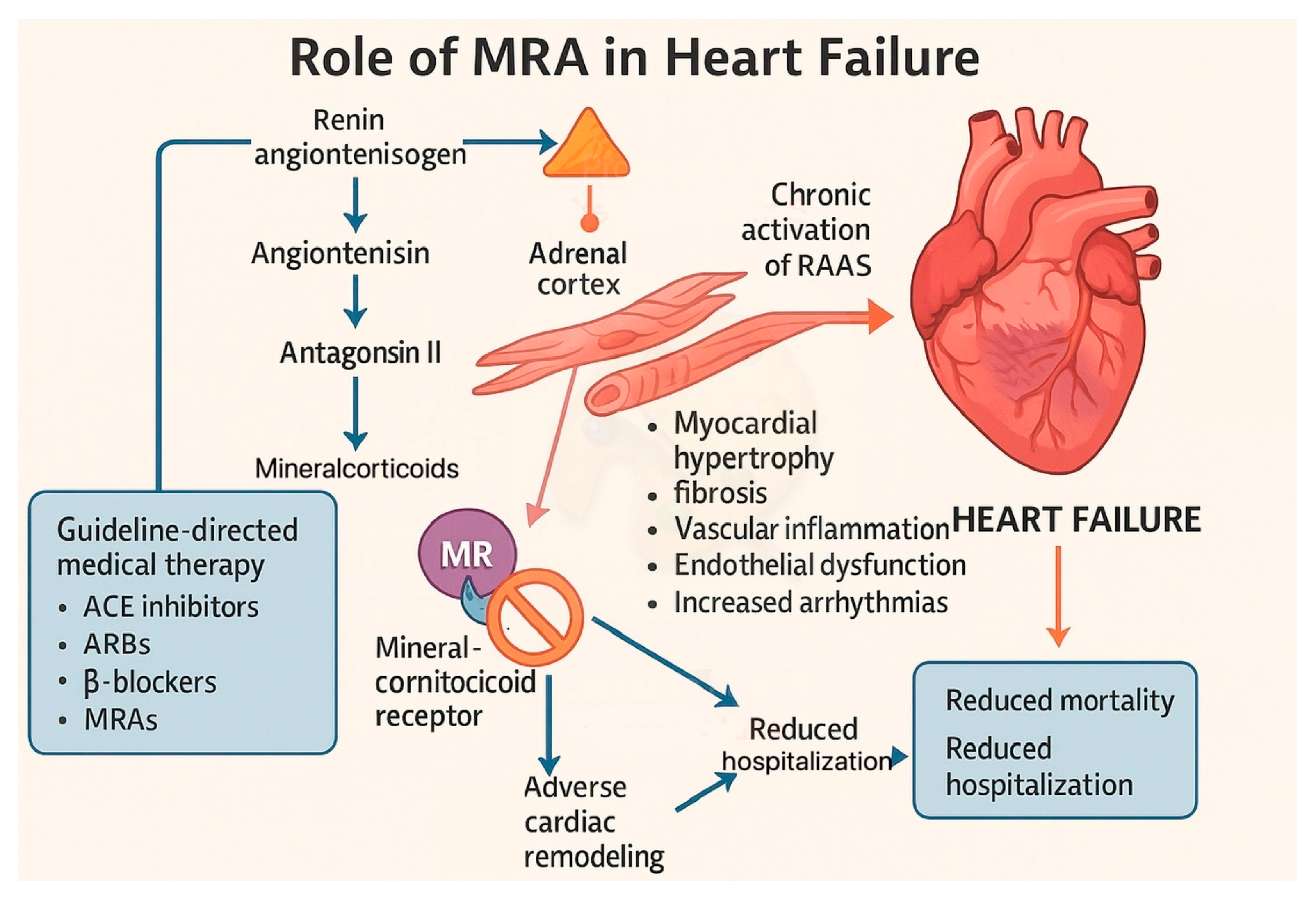 Biomedicines 13 01693 g001 Biomedicines 13 01693 g001