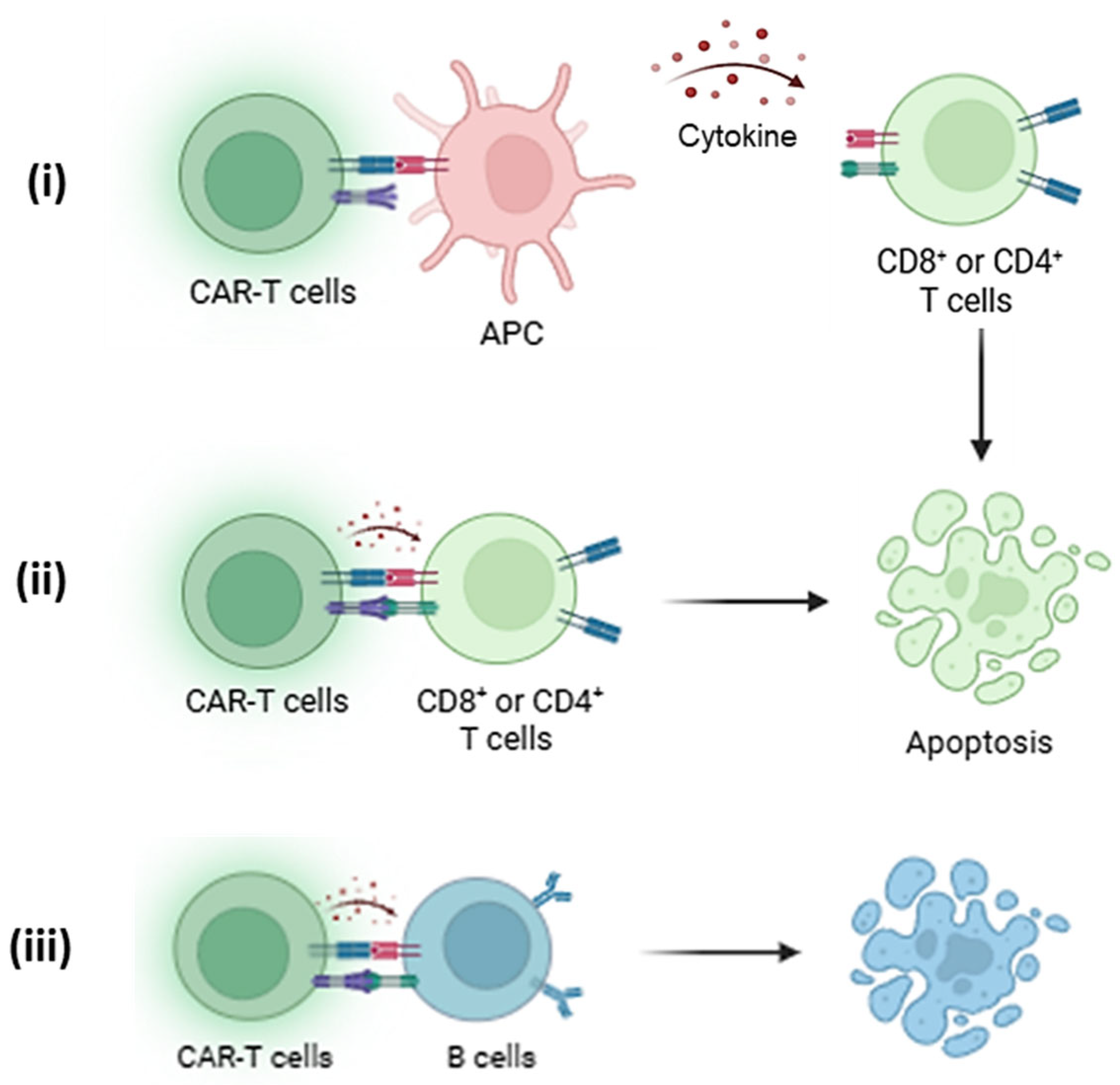 Biomedicines 13 01757 g003