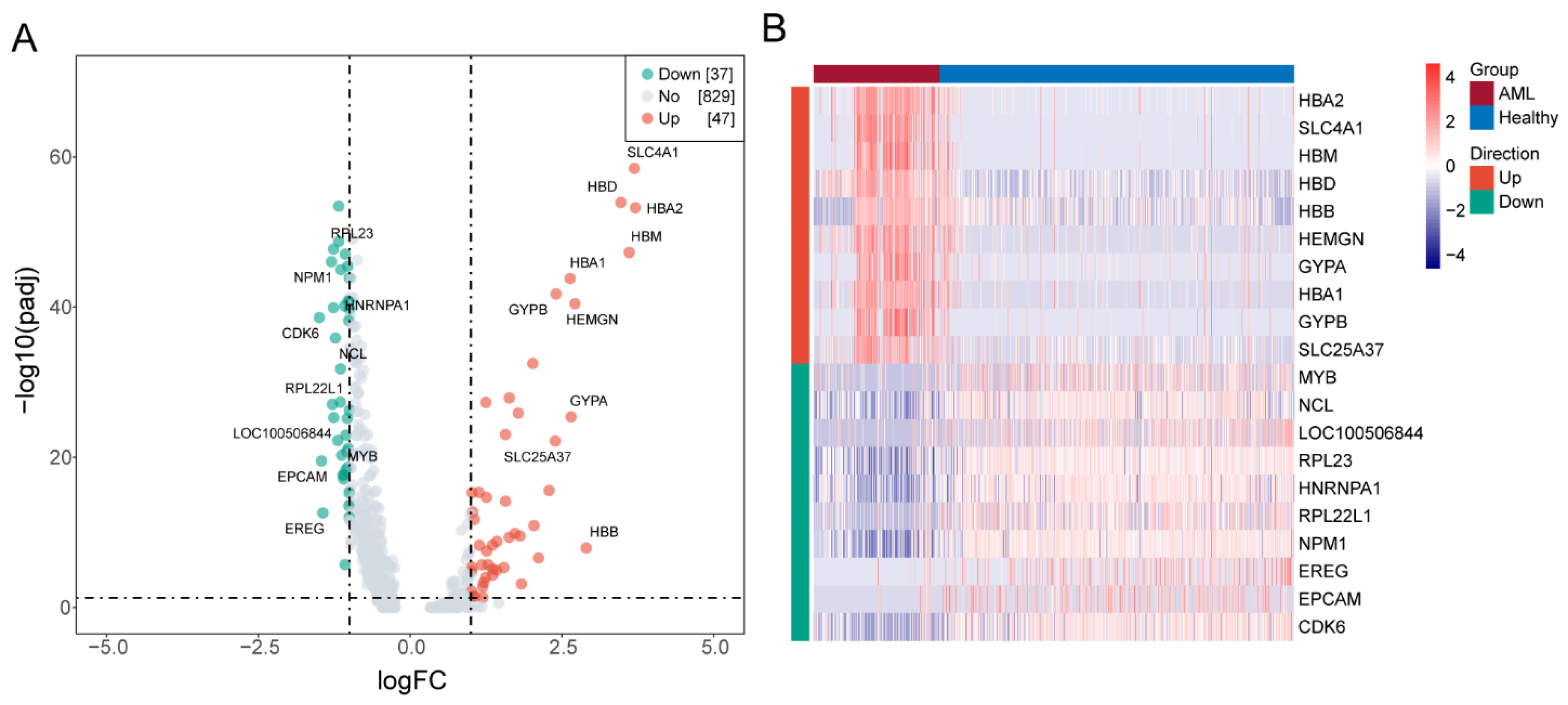 Biomedicines 13 01845 g002 Biomedicines 13 01845 g002