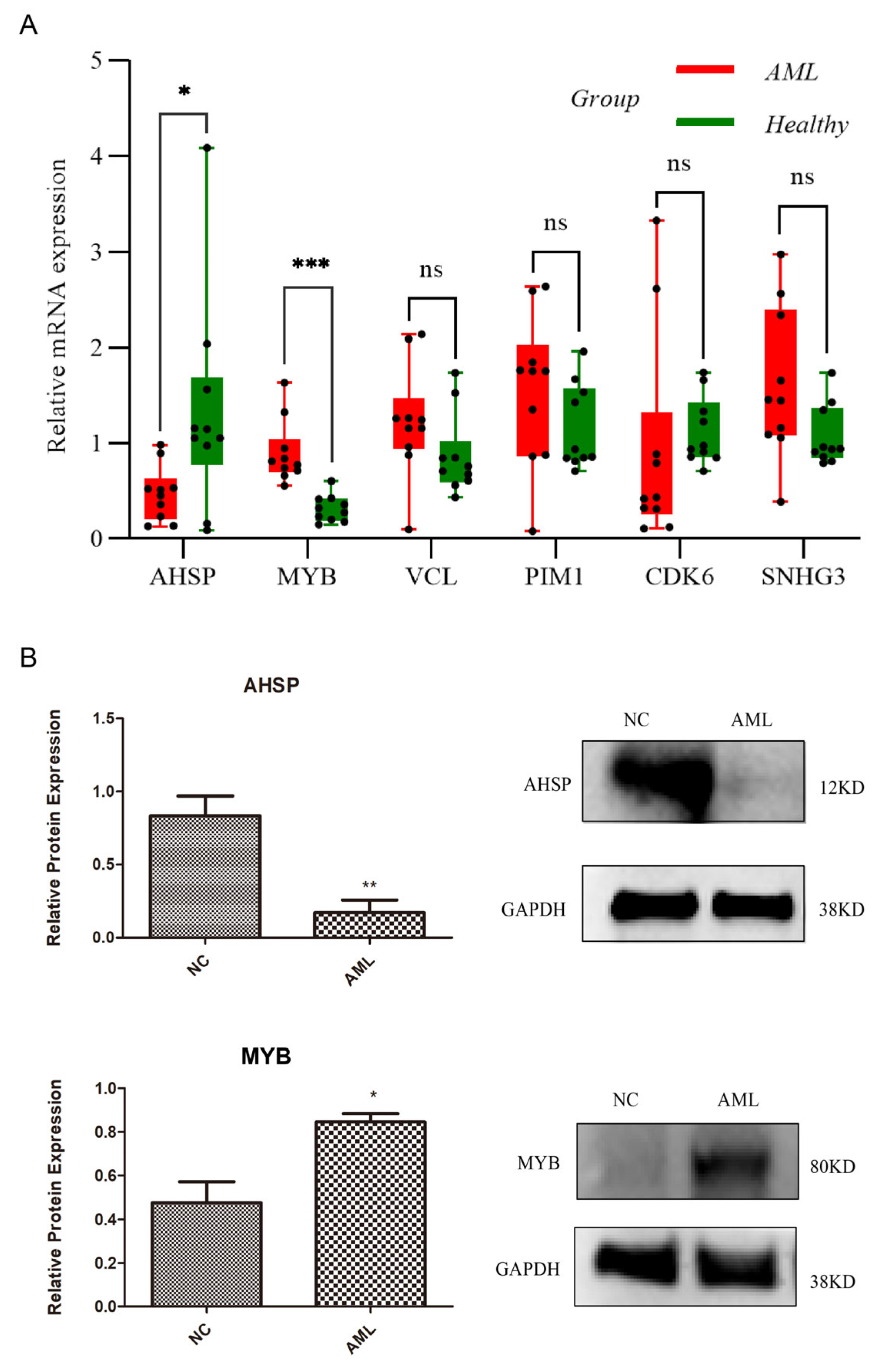 Biomedicines 13 01845 g007 Biomedicines 13 01845 g007