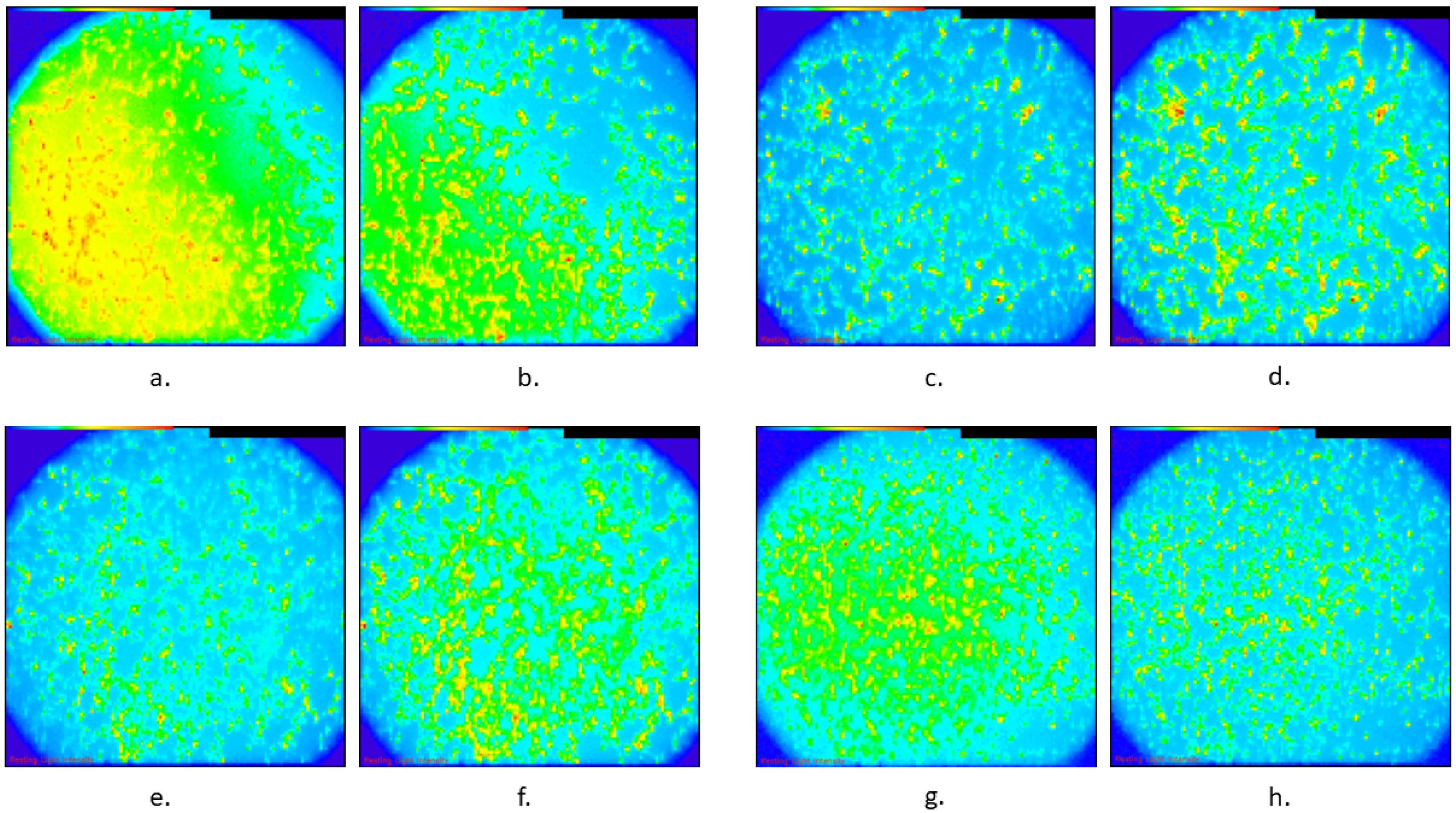 Biomedicines 13 01857 g003 Biomedicines 13 01857 g003