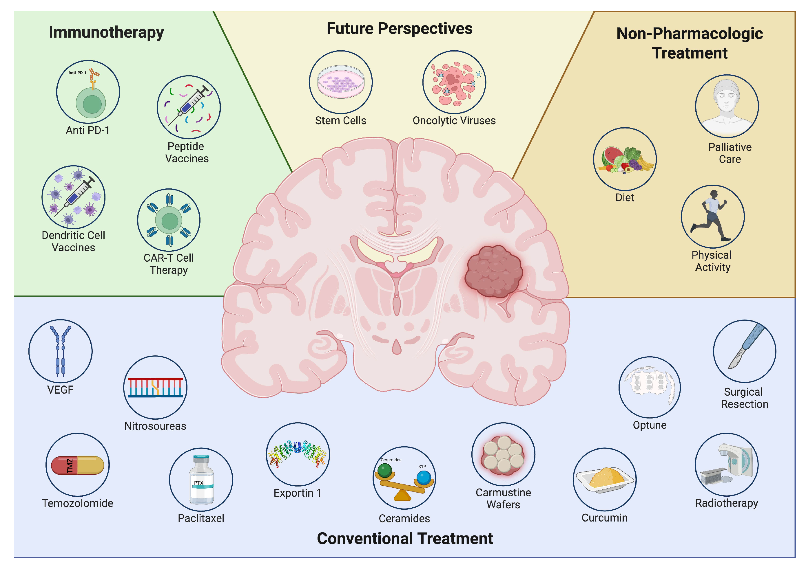 Biomedicines 13 01882 g001