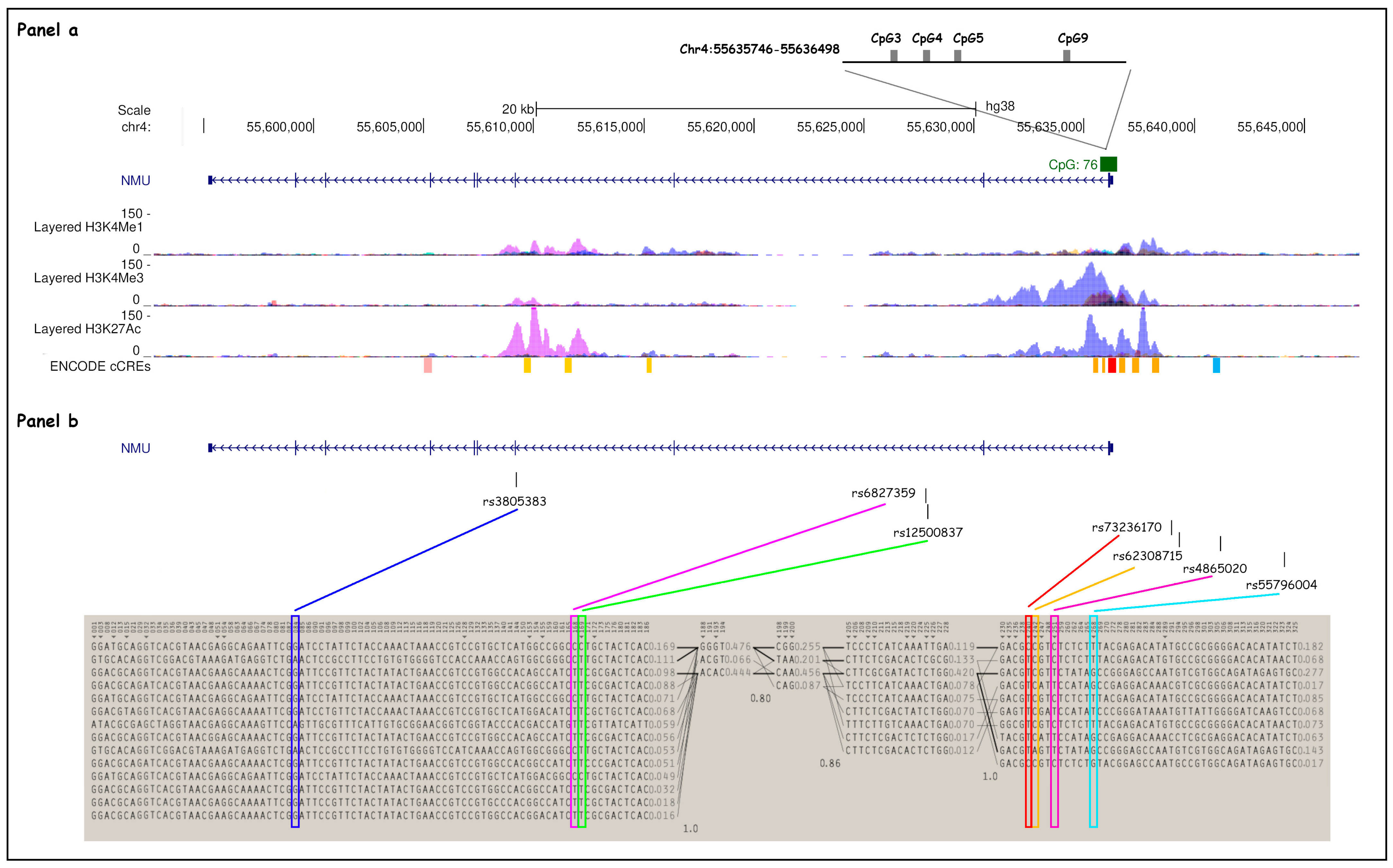 Biomedicines 13 01906 g001 Biomedicines 13 01906 g001