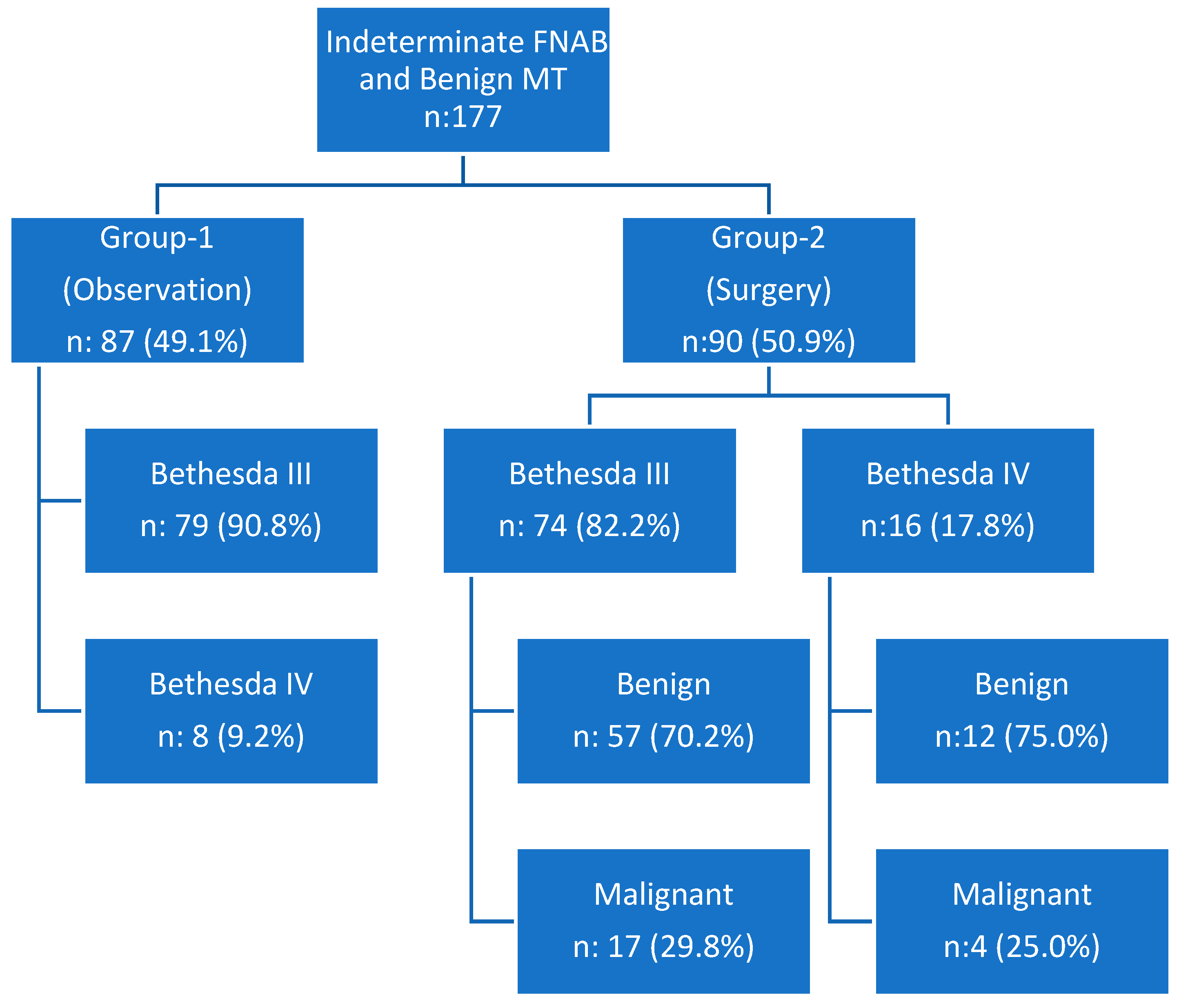 Biomedicines 13 01947 g001 Biomedicines 13 01947 g001