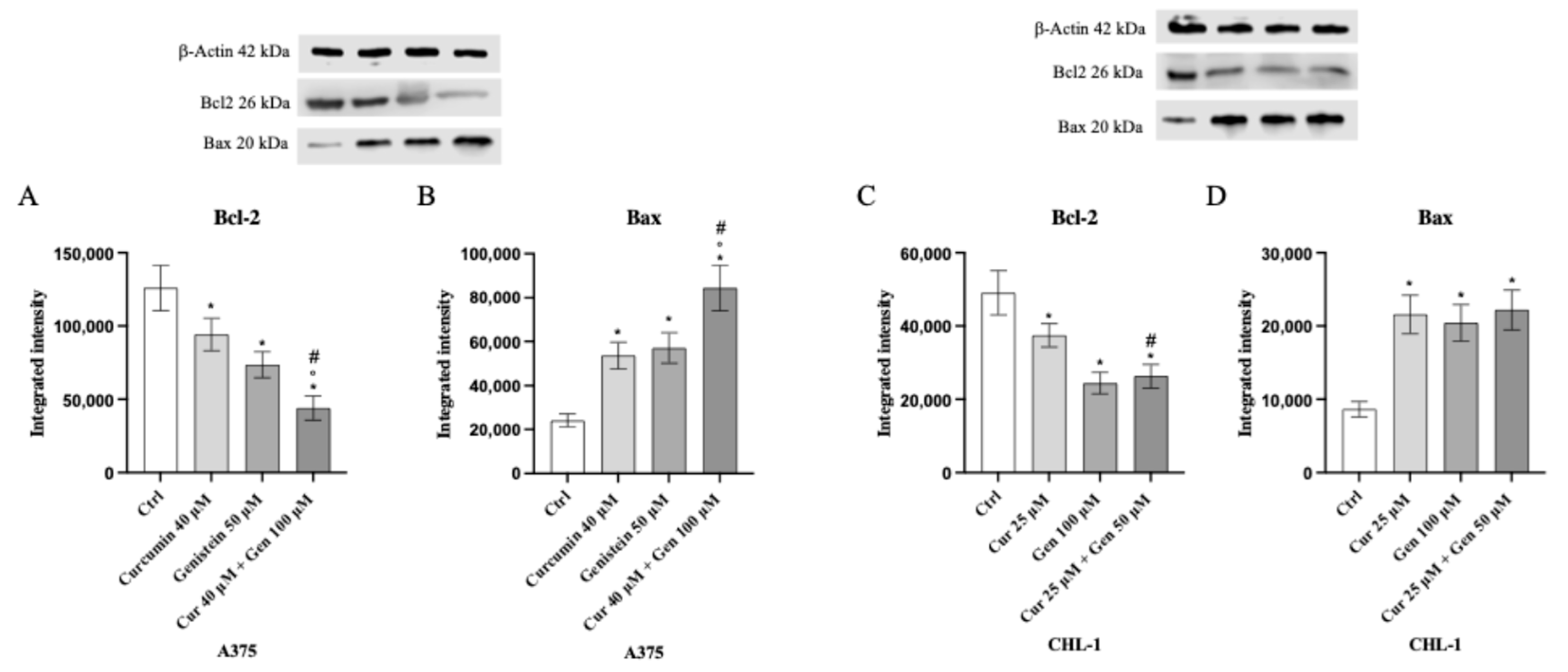 Biomedicines 13 01954 g006 Biomedicines 13 01954 g006
