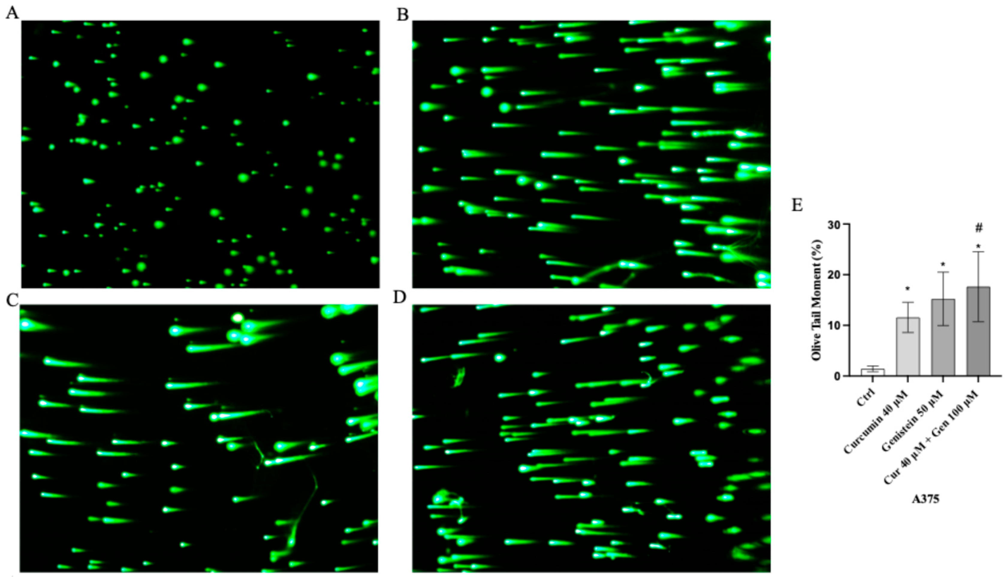Biomedicines 13 01954 g007 Biomedicines 13 01954 g007