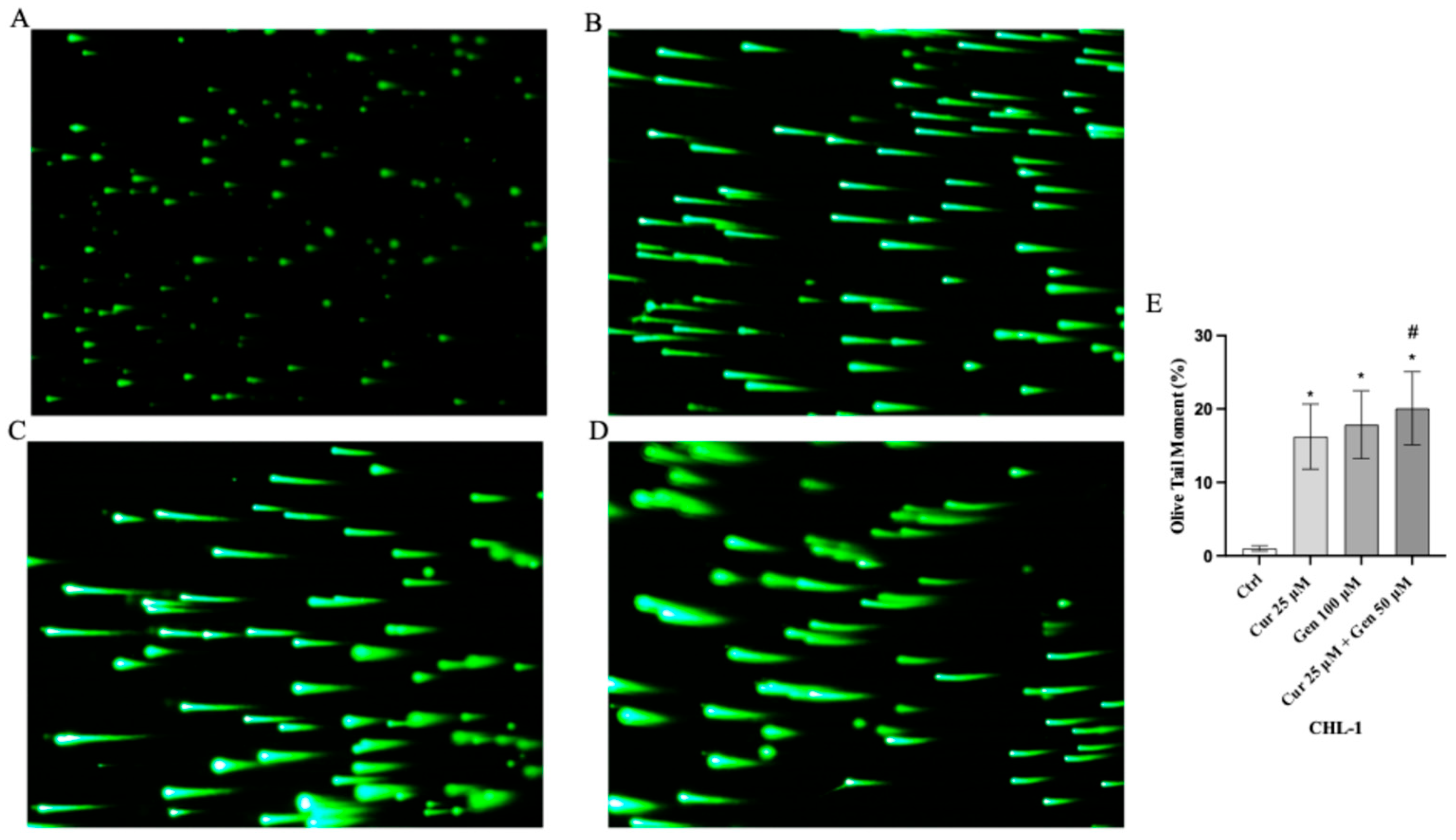 Biomedicines 13 01954 g008 Biomedicines 13 01954 g008
