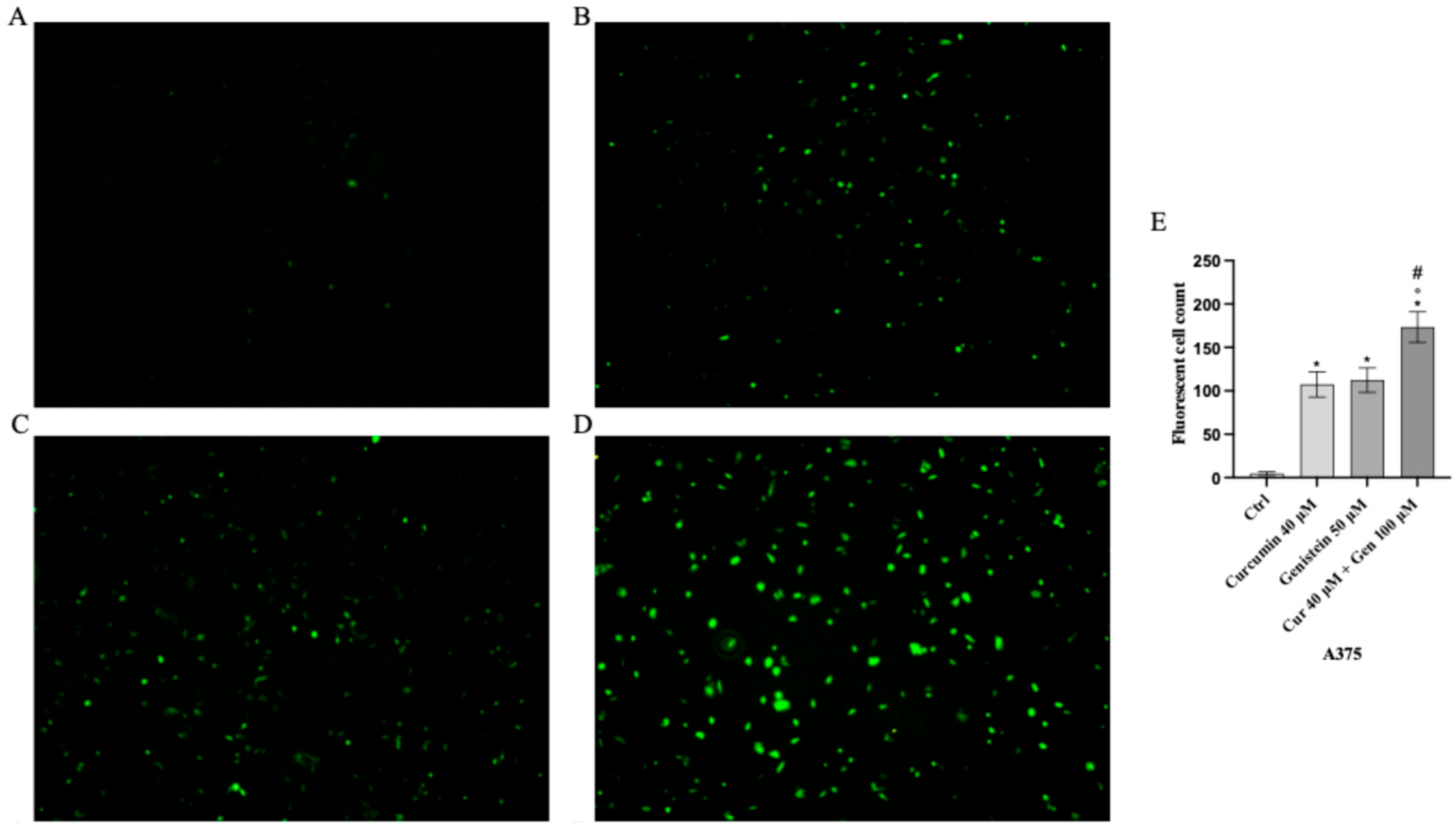 Biomedicines 13 01954 g009 Biomedicines 13 01954 g009