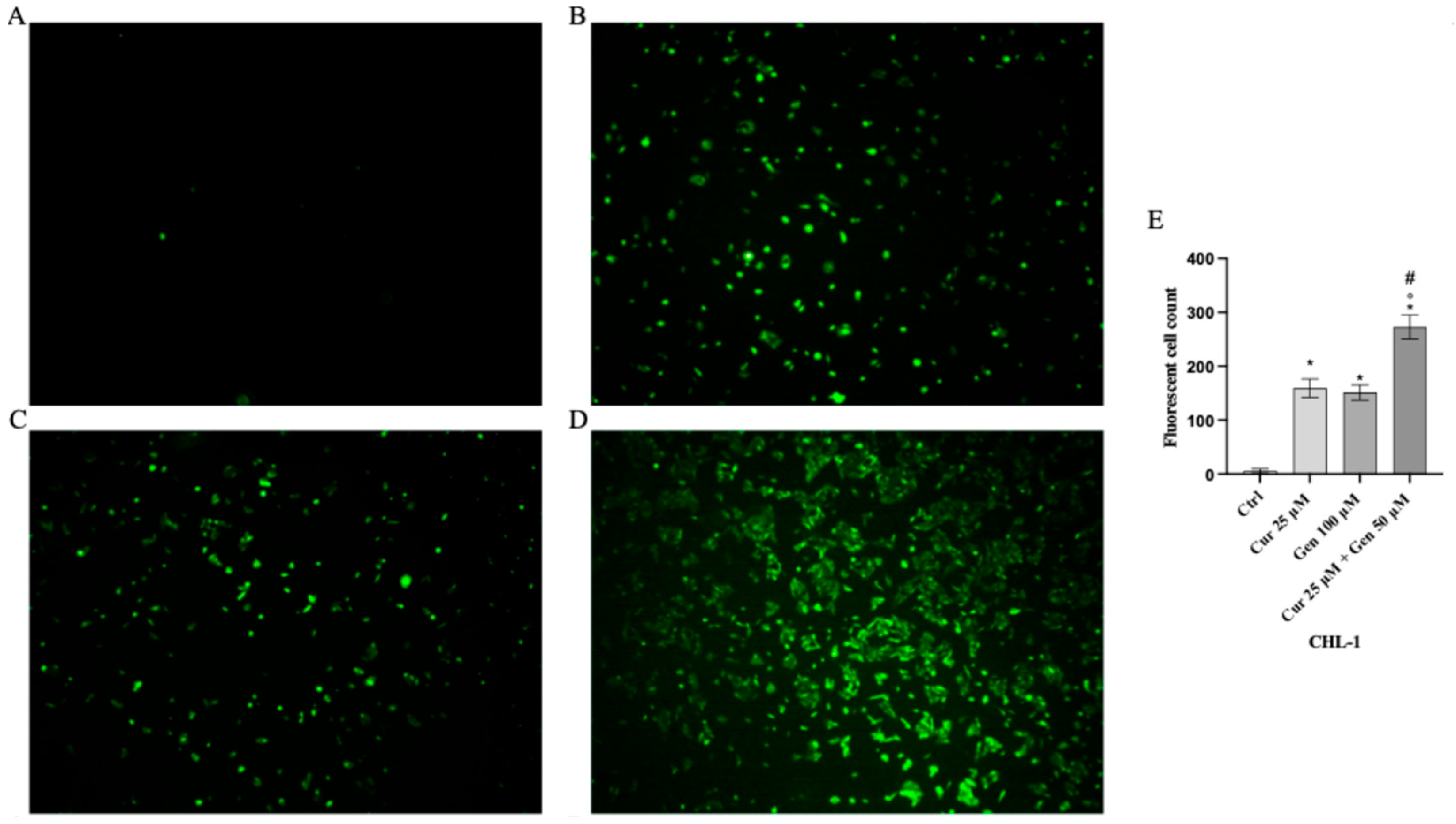 Biomedicines 13 01954 g010 Biomedicines 13 01954 g010