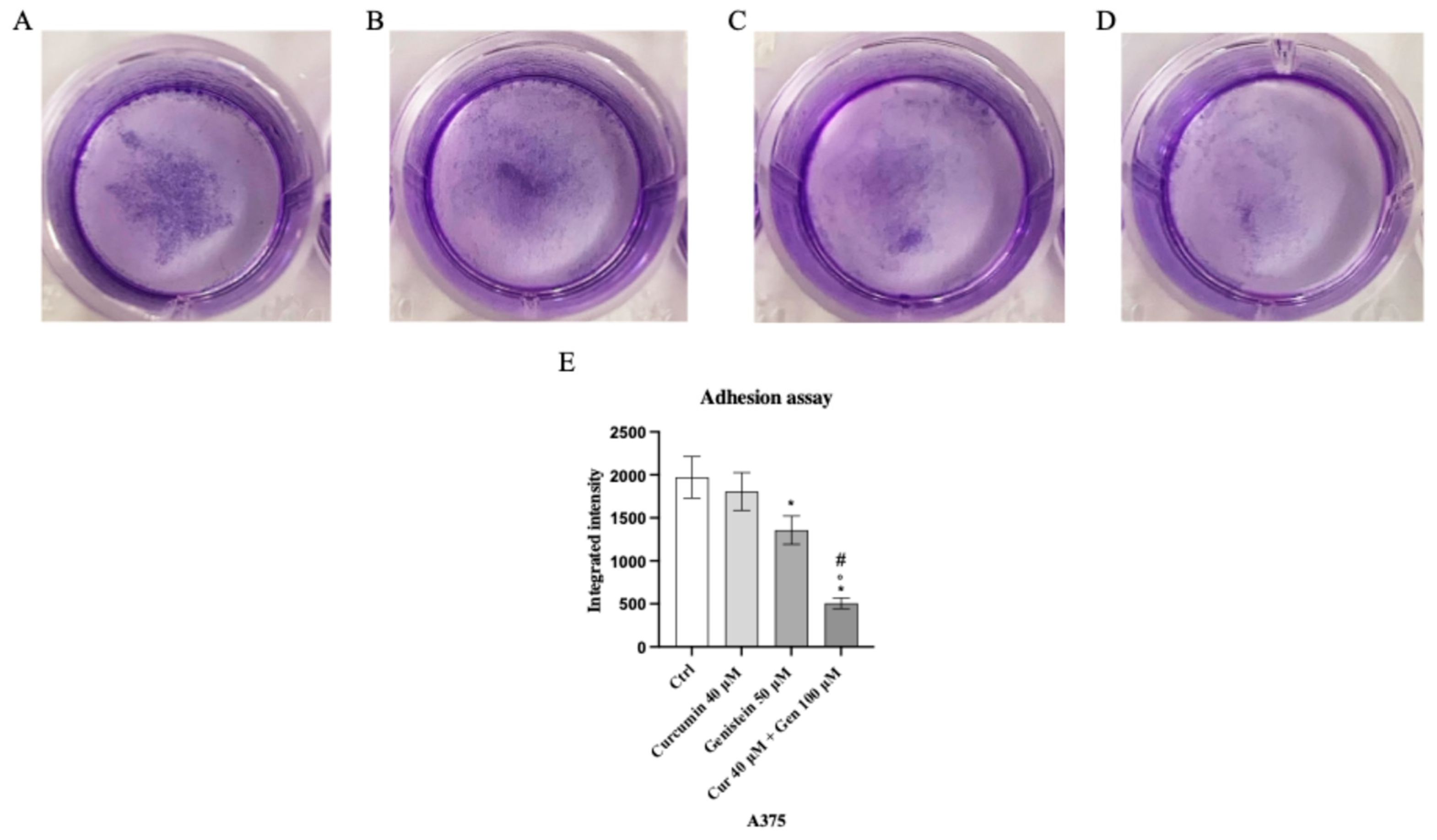 Biomedicines 13 01954 g011 Biomedicines 13 01954 g011