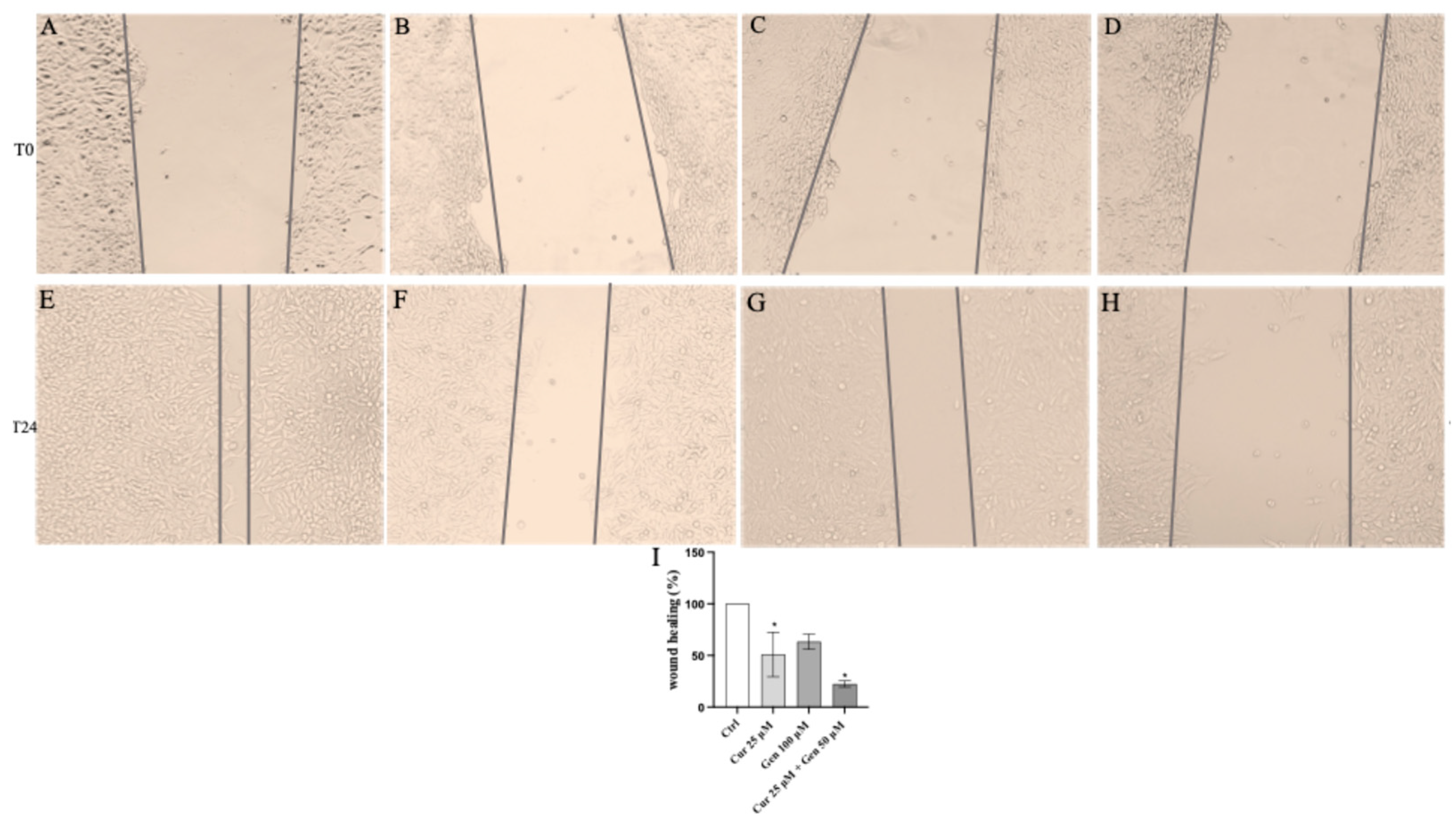 Biomedicines 13 01954 g014 Biomedicines 13 01954 g014