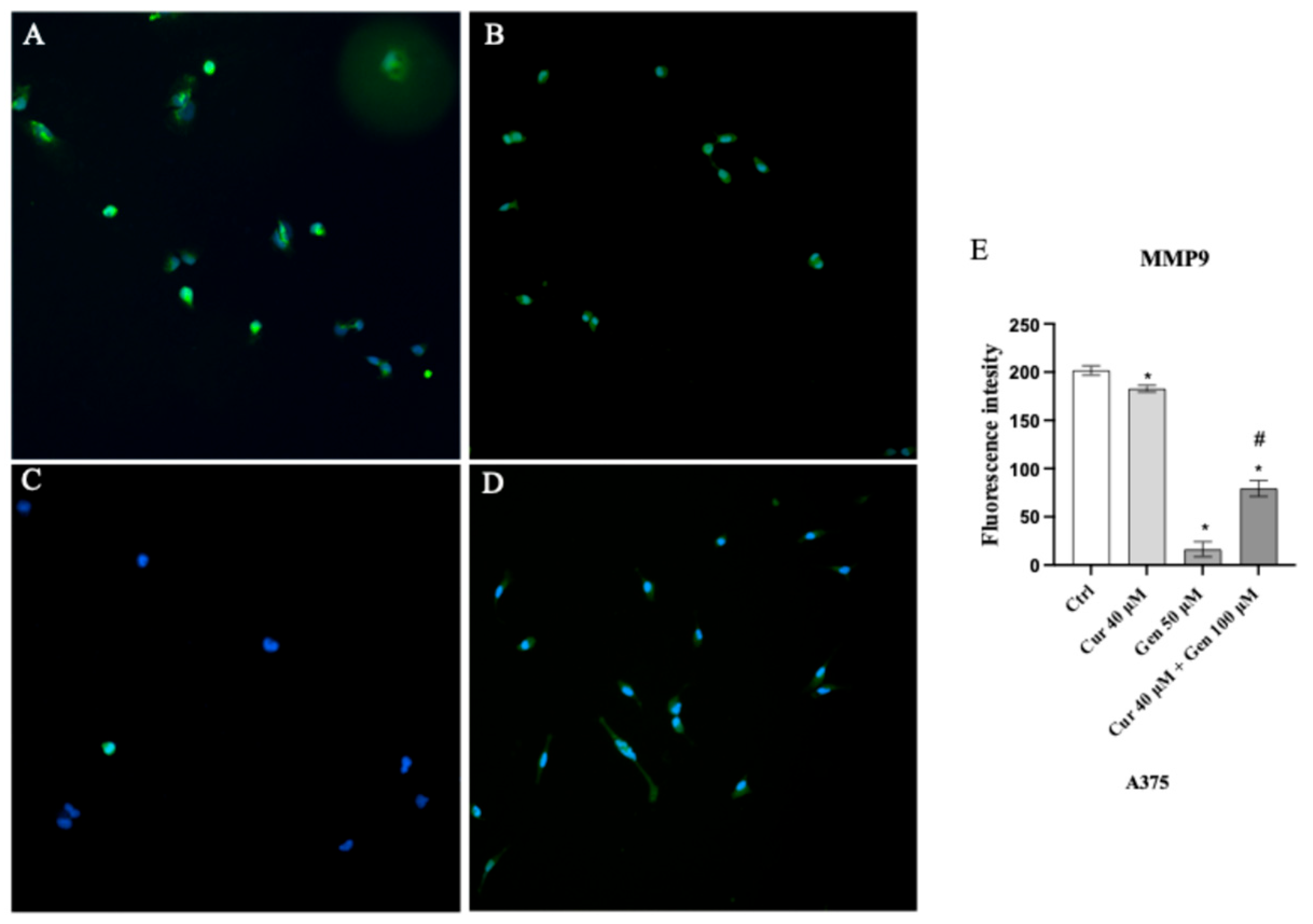 Biomedicines 13 01954 g015 Biomedicines 13 01954 g015