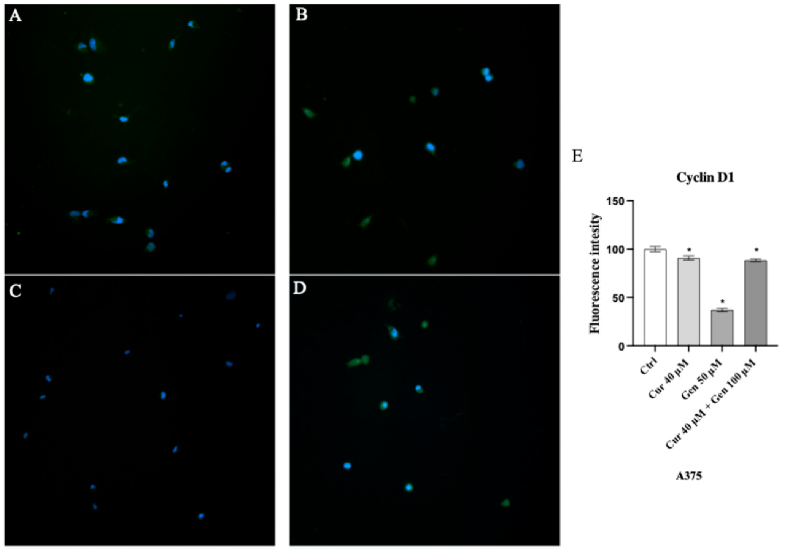 Biomedicines 13 01954 g016 Biomedicines 13 01954 g016