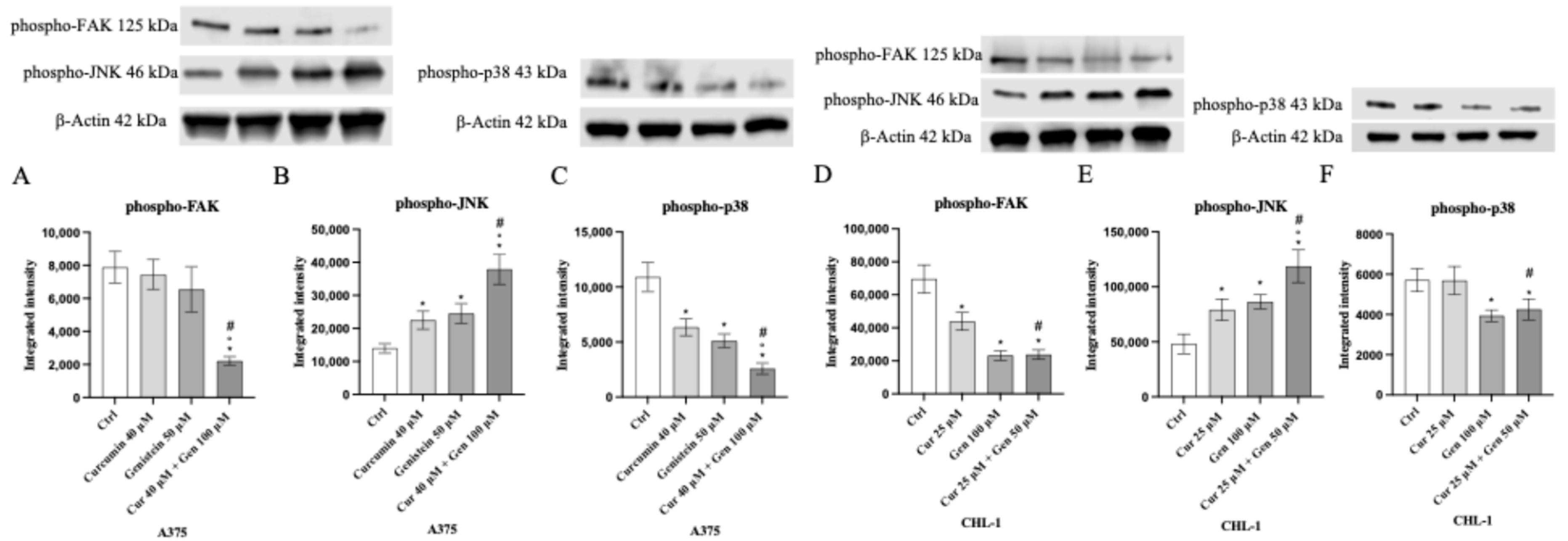 Biomedicines 13 01954 g017 Biomedicines 13 01954 g017