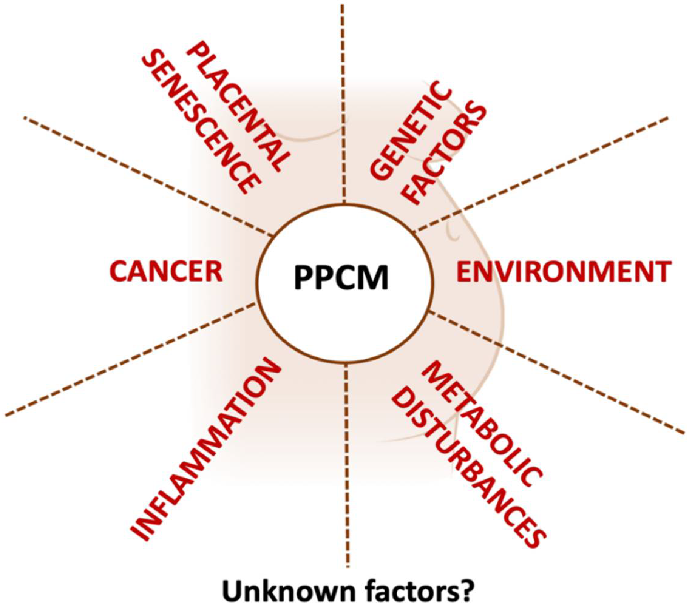 Biomedicines 13 02026 g001 Biomedicines 13 02026 g001