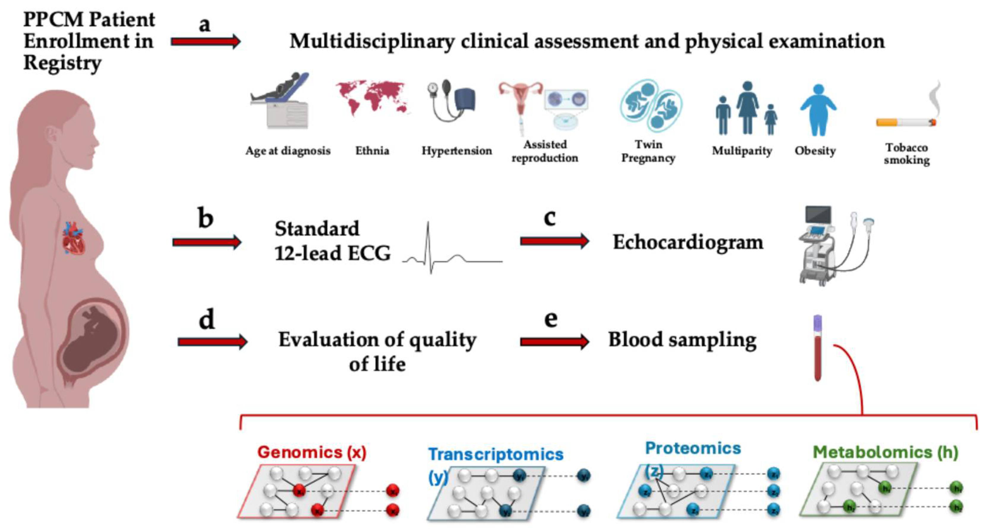 Biomedicines 13 02026 g003 Biomedicines 13 02026 g003