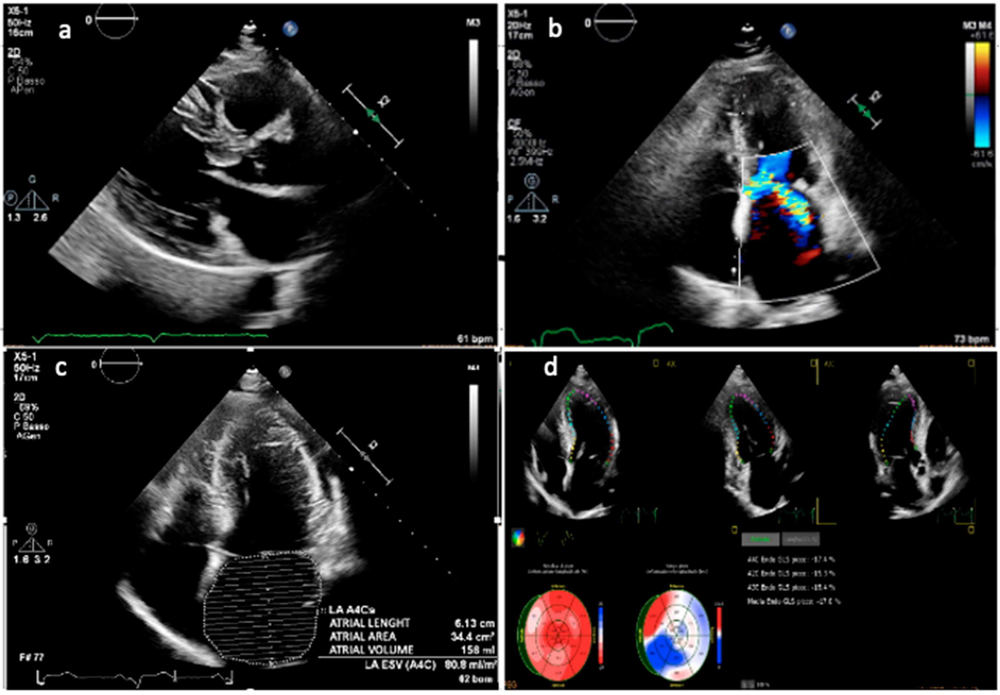 Biomedicines 13 02138 g001 Biomedicines 13 02138 g001