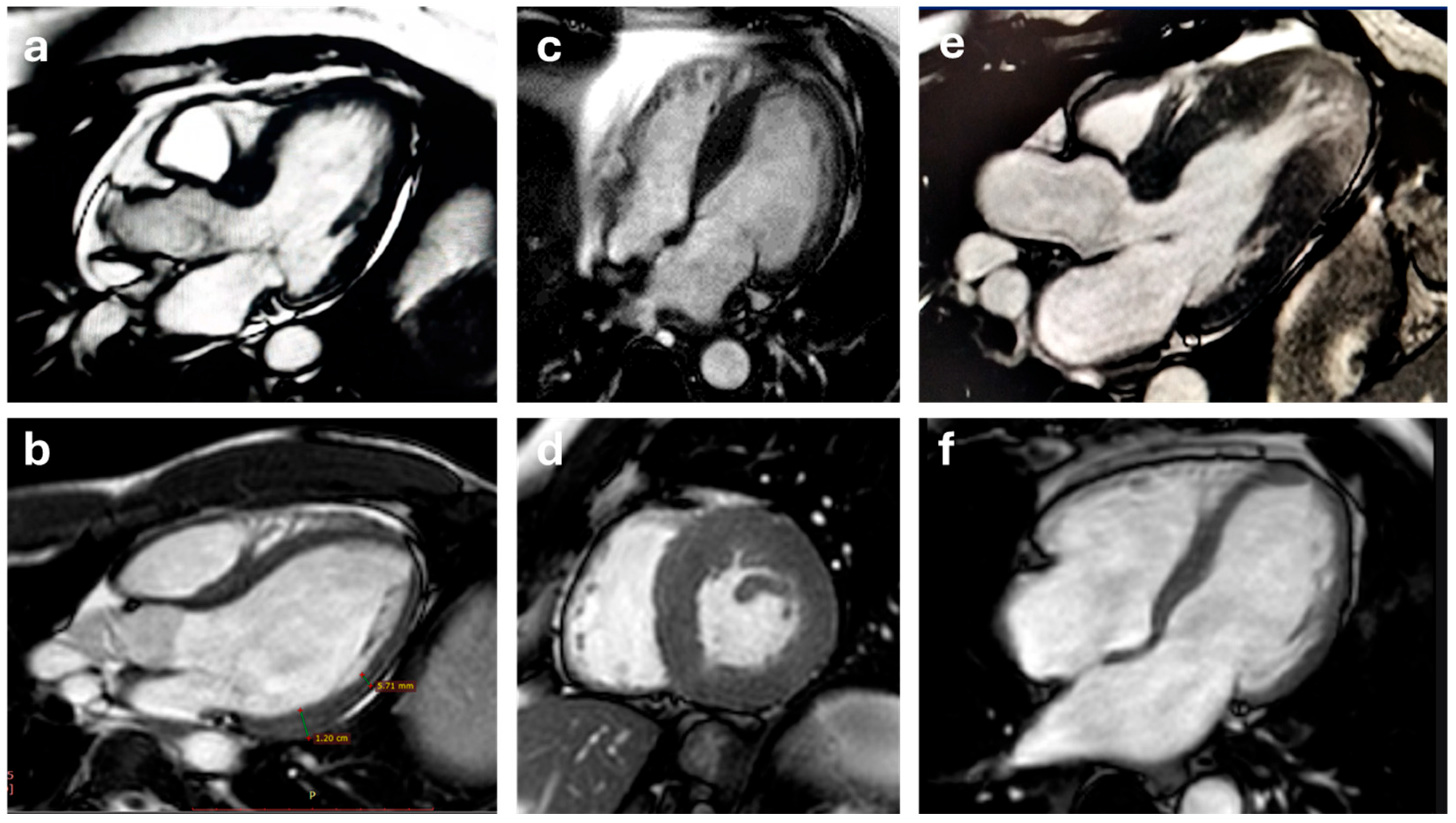Biomedicines 13 02138 g002 Biomedicines 13 02138 g002